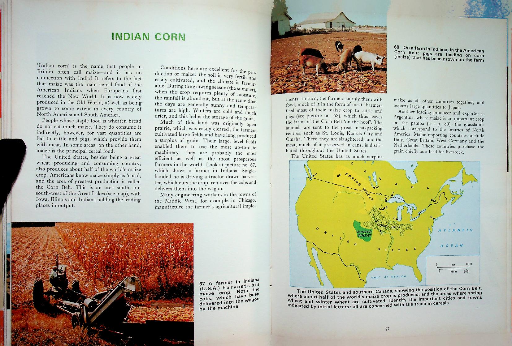 MAN AND HIS WORLD : FOOD