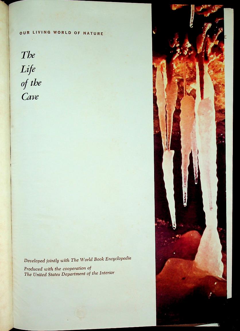 The Life of the Cave