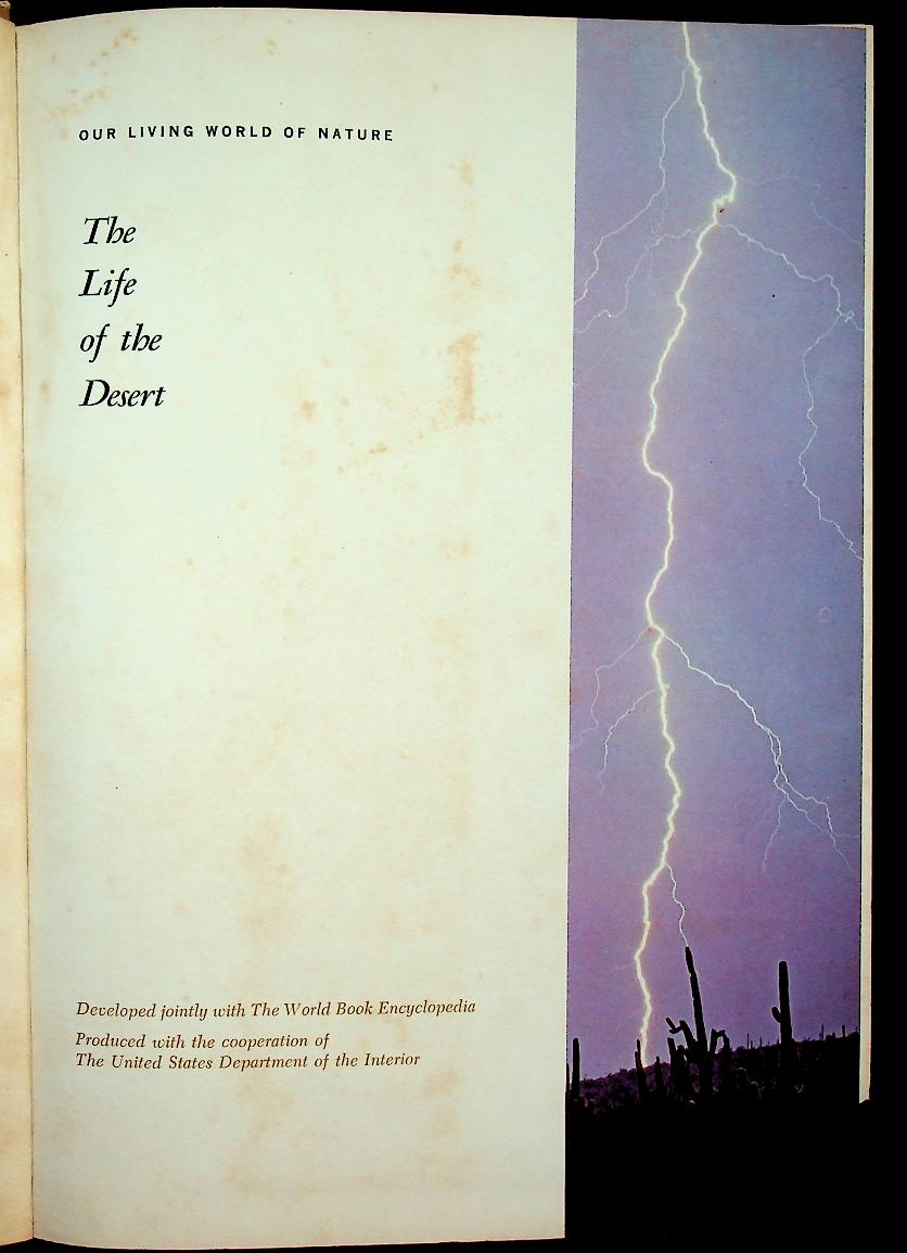 The Life of the Desert