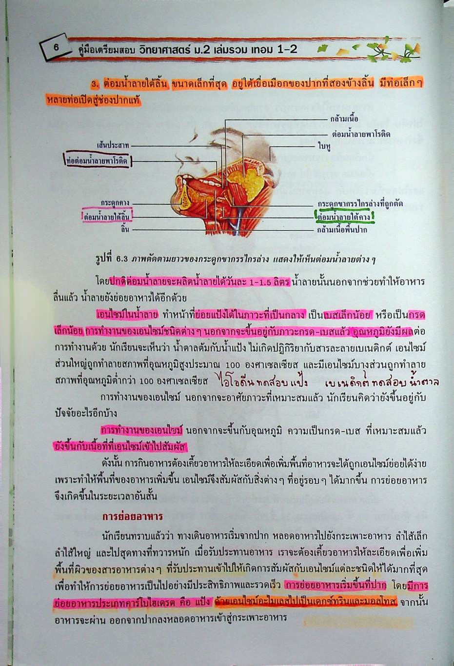 คู่มือเตรียมสอบ วิทยาศาสตร์ ม.2 เล่มรวม เทอม 1-2