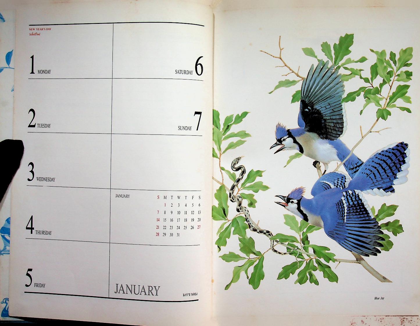 สมุดไดอารี่ ภาพวาดนก EXOTIC BIRDS : CENTRAL DIARY 1990