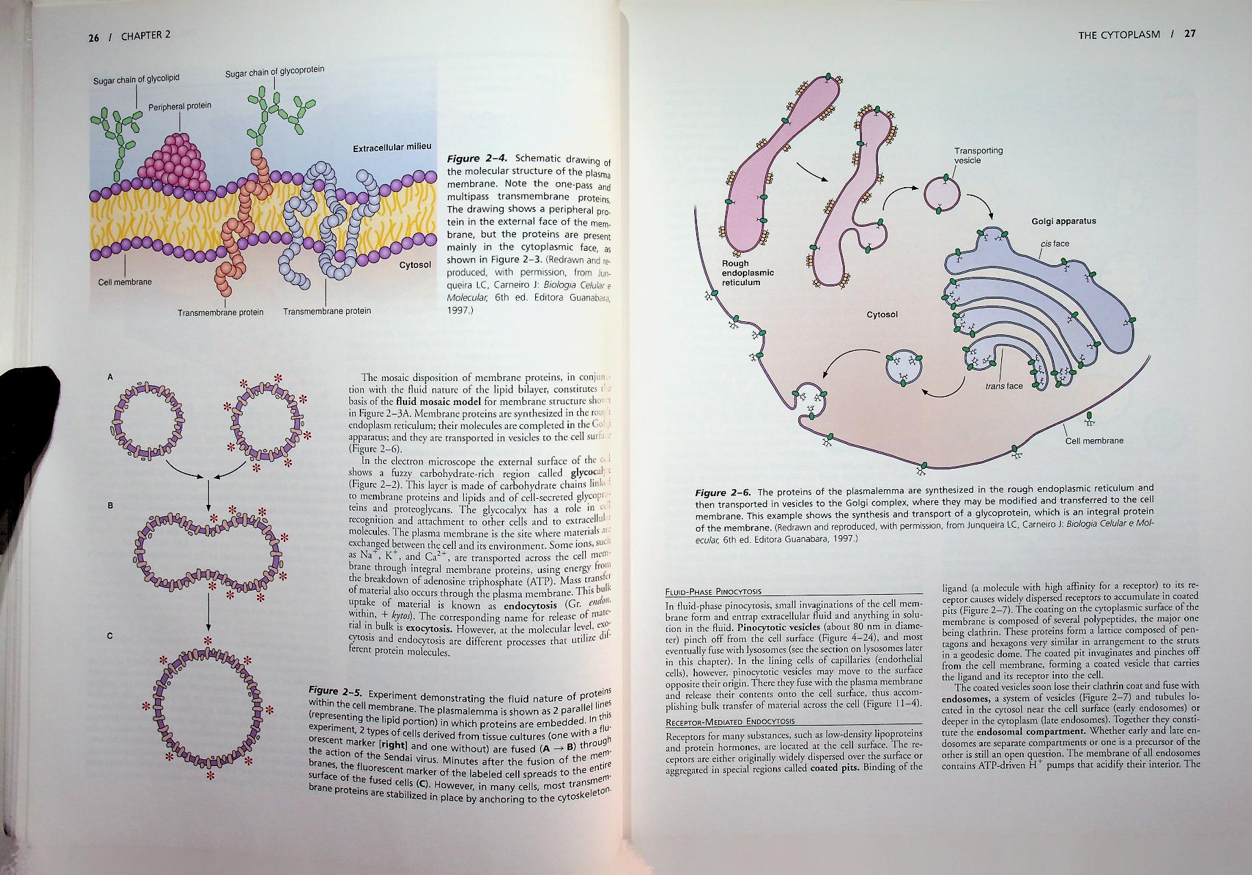 basic histology TEXT & ATLAS