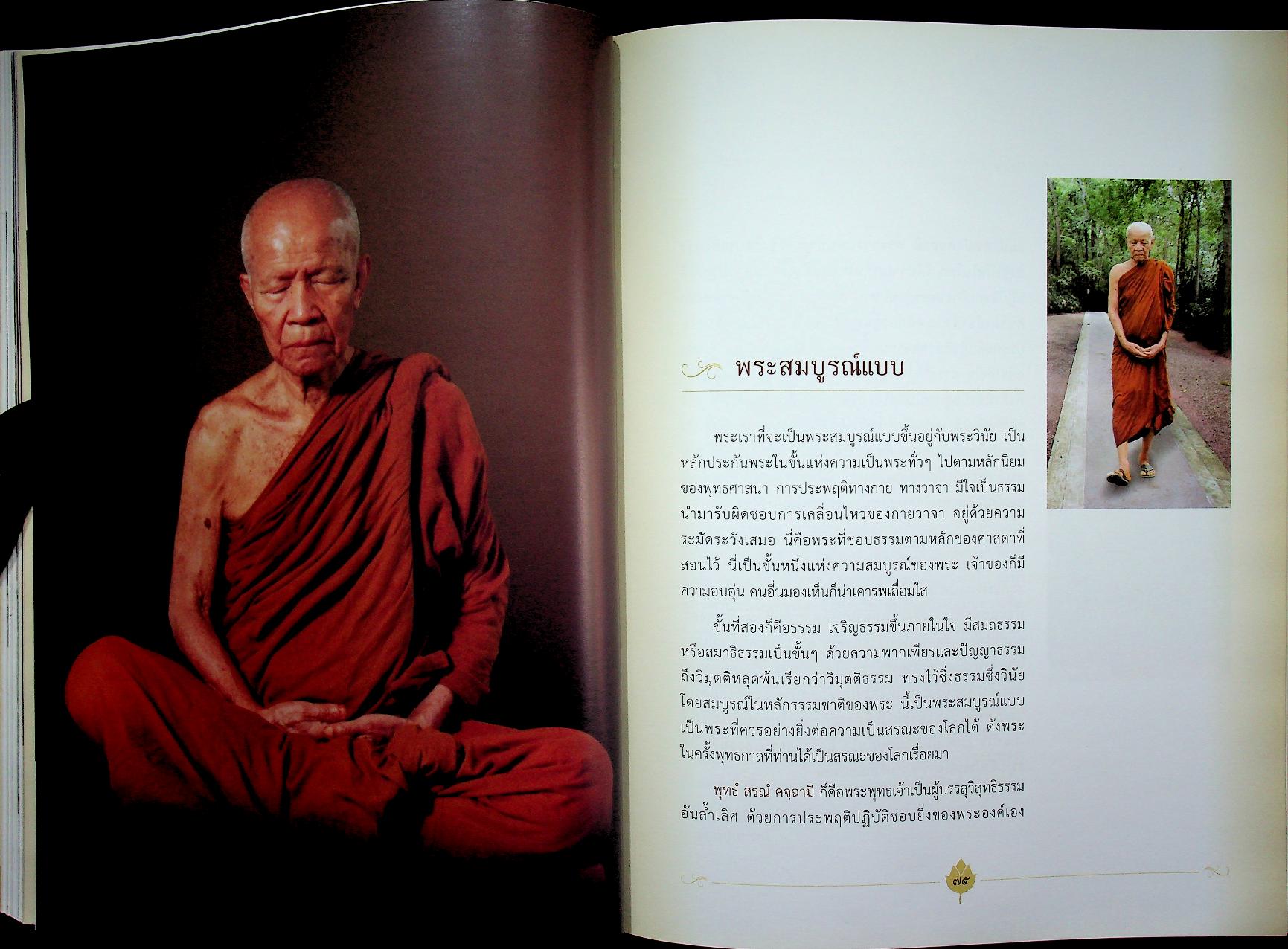 สมณะ พระผู้ข้ามวัฏฏะ พระธรรมวิสุทธิมงคล หลวงตาพระมหาบัว ญาณสัมปันโน