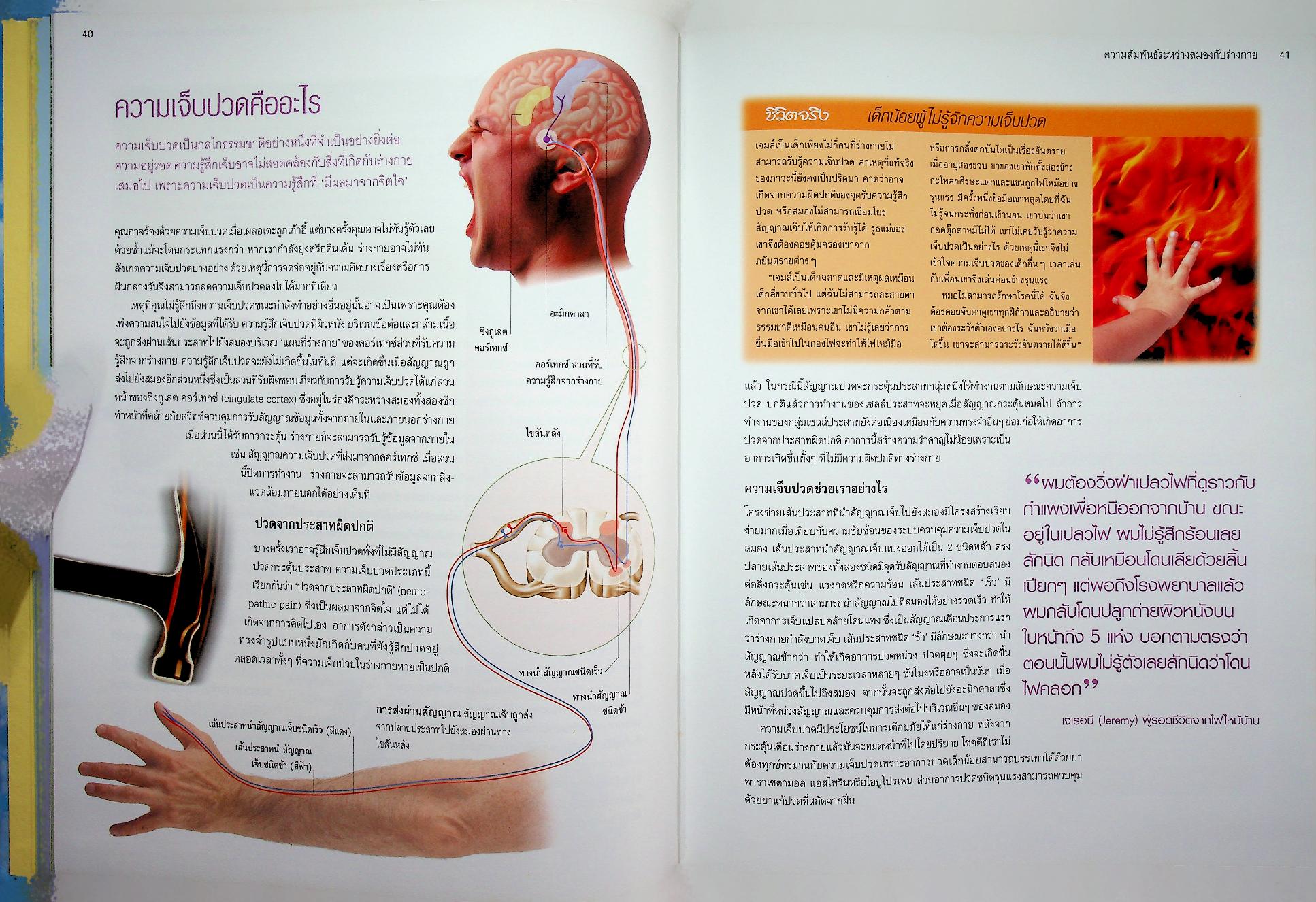 เพิ่มประสิทธิภาพพลังสมอง