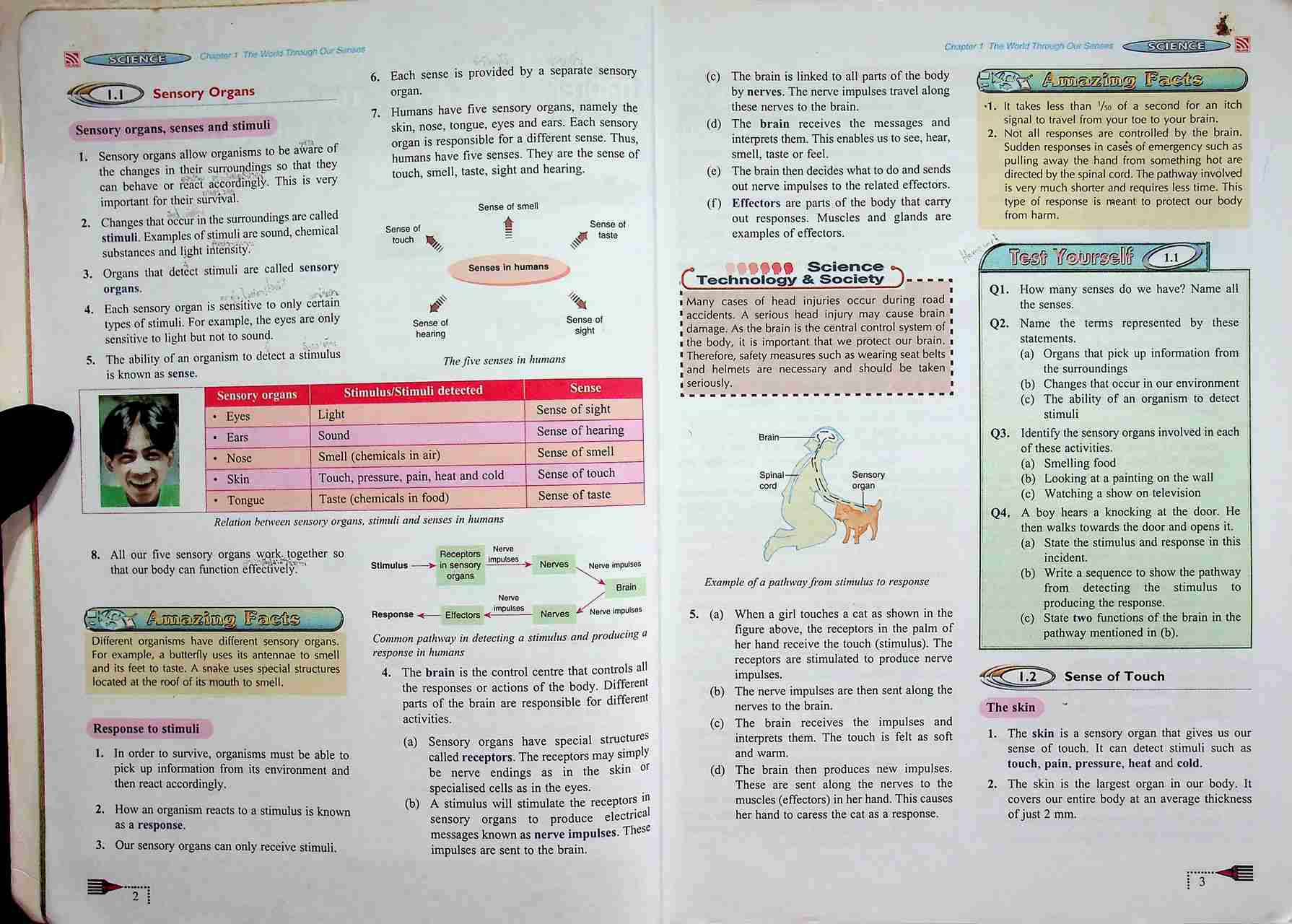 Mathayom 2 FOCUS SCIENCE