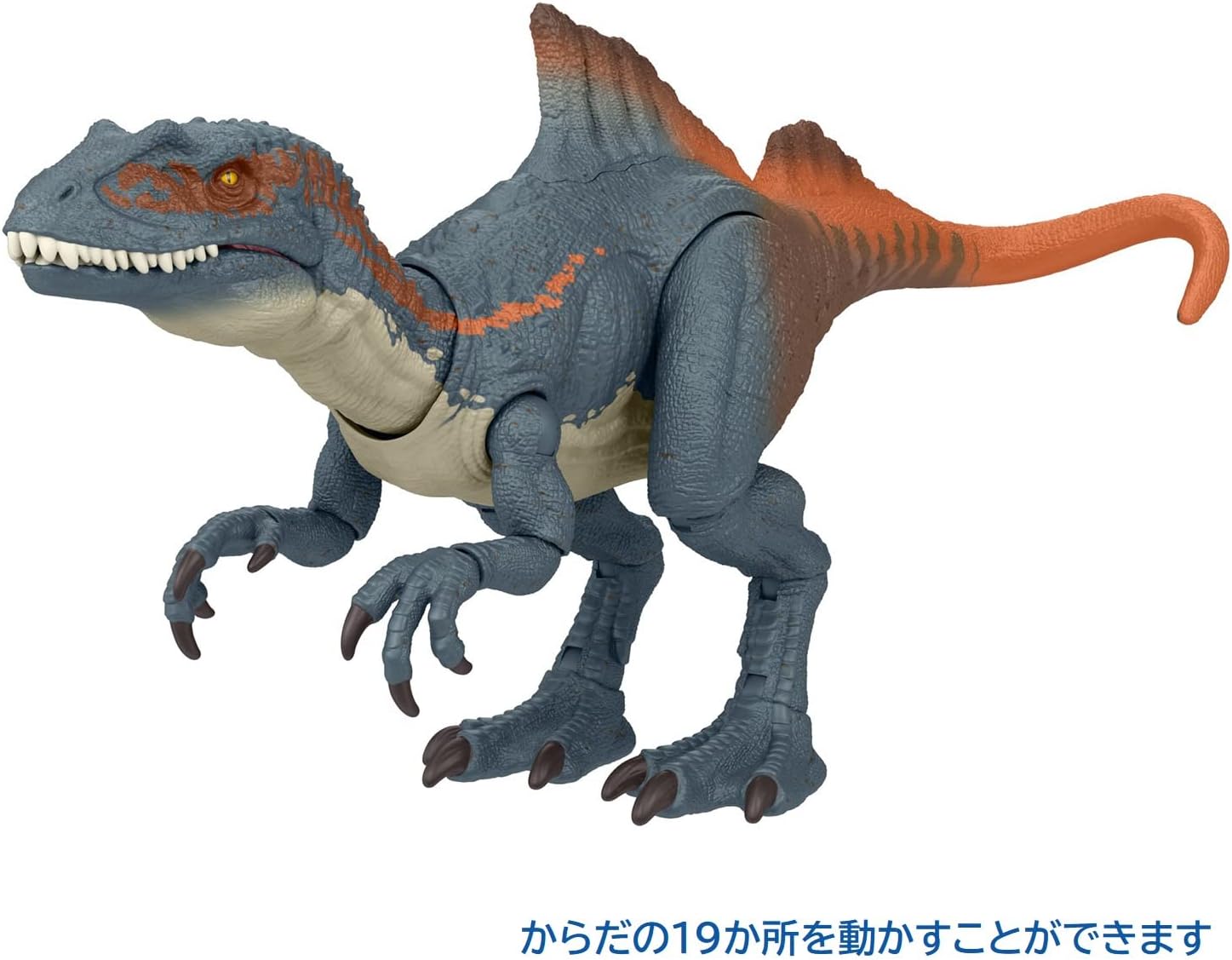 **MTS Toys**Mattel Jurassic World Hammond Collection : HLP36 Concavenator [ความยาวจากหัวถึงหาง 31 ซ.ม.]