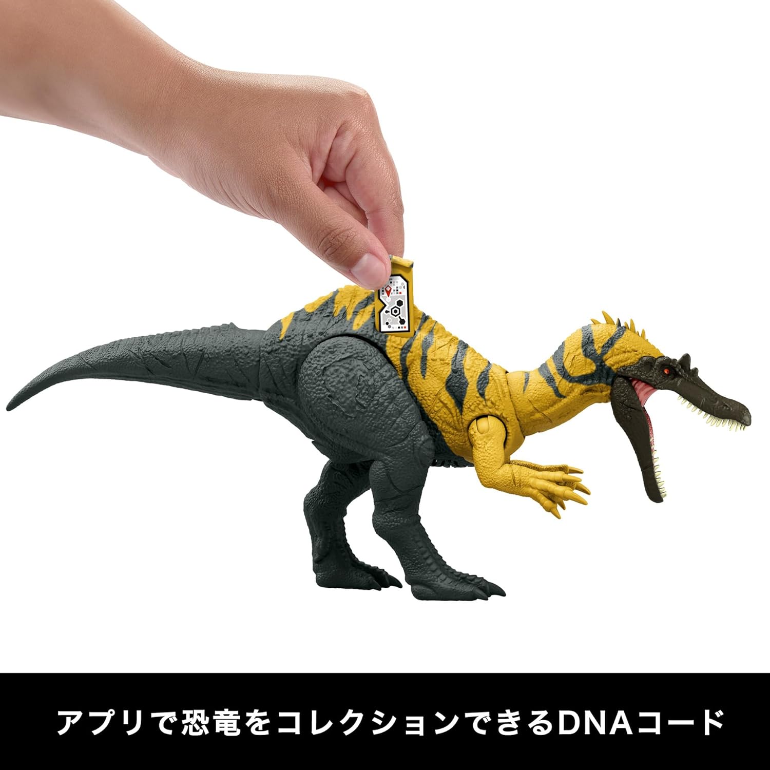 **MTS Toys**Mattel Jurassic World Chaos Theory : JCL66 Ceratosuchops [ความยาวจากหัวถึงหาง 32 ซ.ม.]