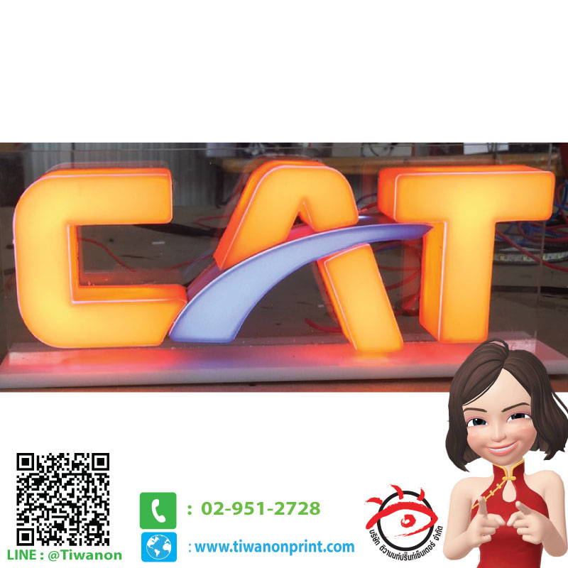 ตัวอักษร 3D งาน CAT