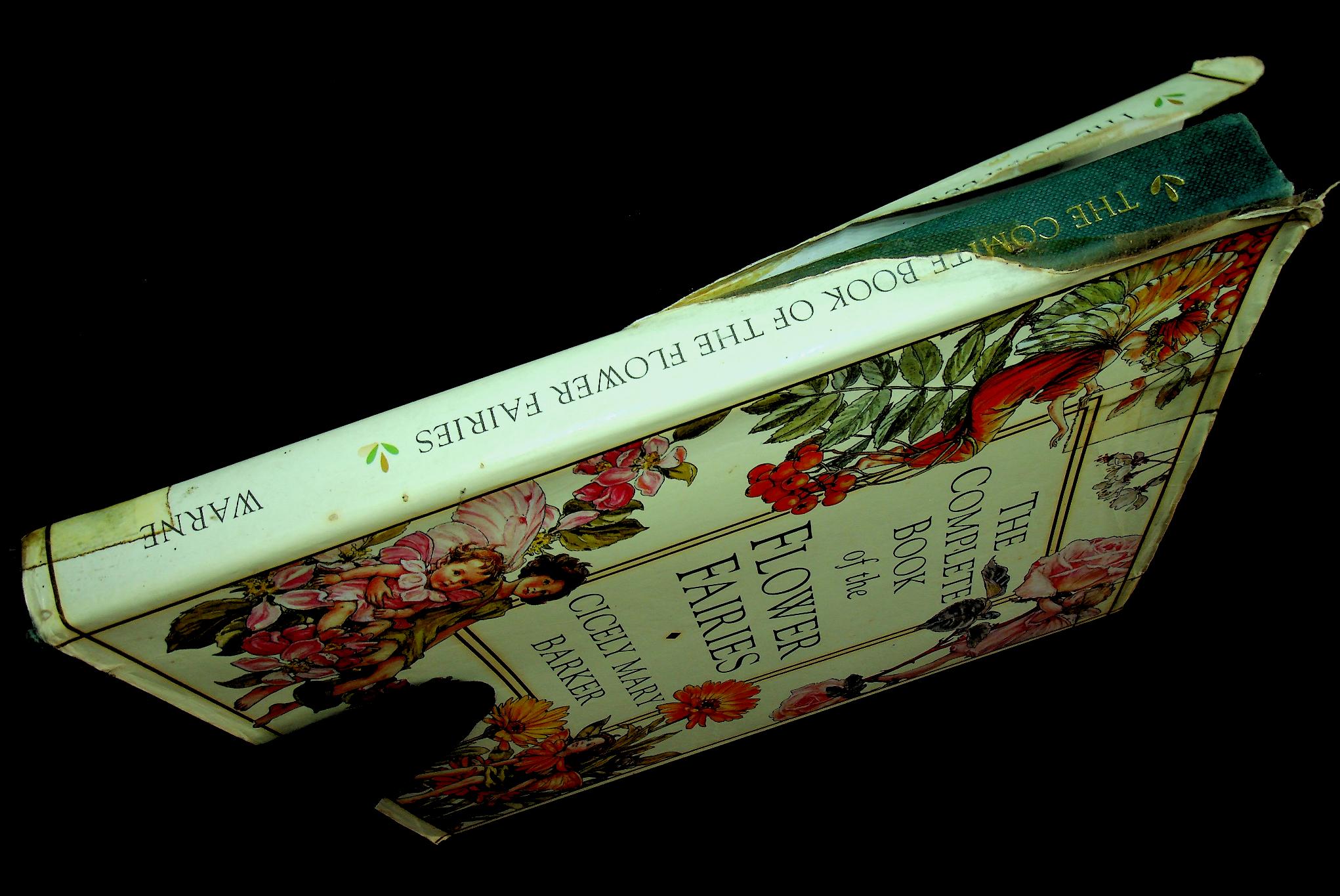 THE COMPLETE BOOK OF THE FLOWER FAIRIES