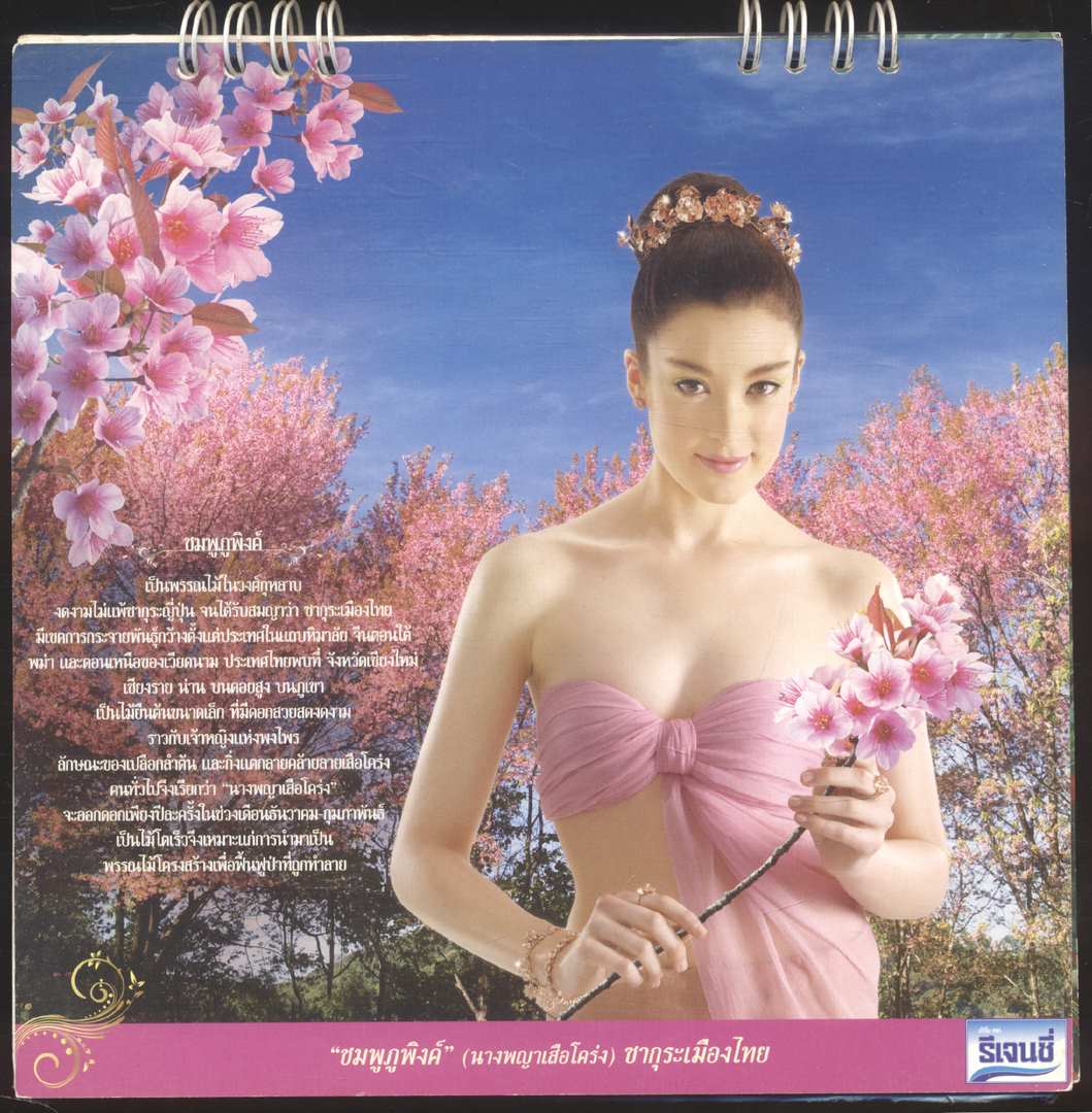 ปฎิทินตั้งโต๊ะ รีเจนซี่ บรั่นดีไทย รักพรรณไม้งาม..รักษ์ป่า มนต์เสน่ห์ ตรึงตรา แห่งผืนแผ่นดินไทย พ.ศ ๒๕๕๓