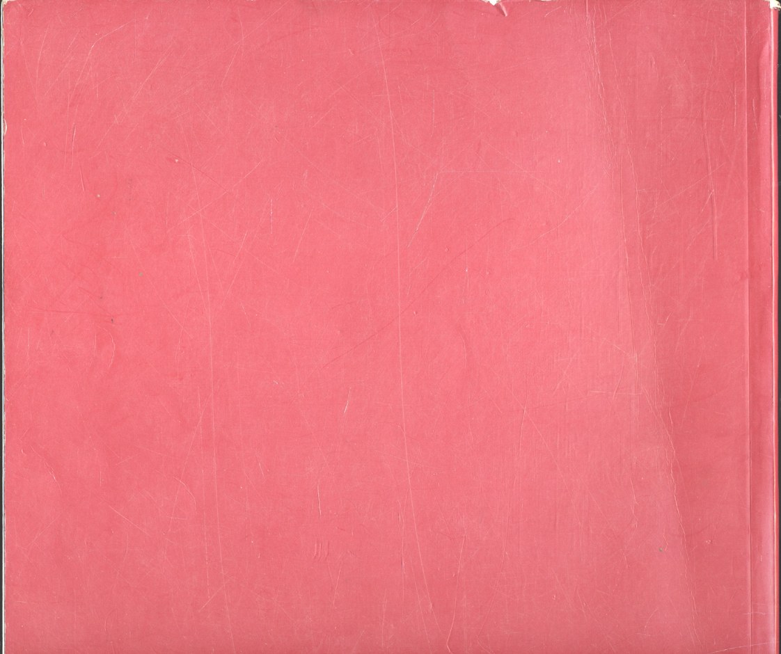 สมเด็จพระศรีนครินทราบรมราชชนนี (ฉลอง ๑๐๐ปี สมเด็จพระศรีนครินทราบรมราชชนนี พุทธศักราช ๒๕๔๓)