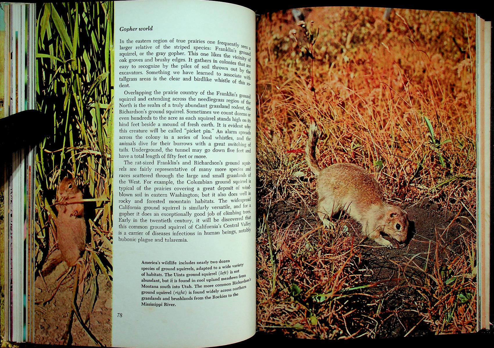 The Life of Prairies and Plains