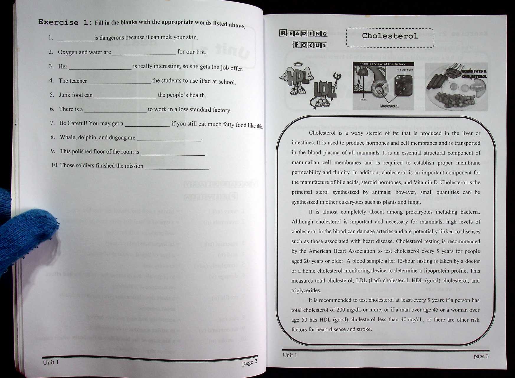 DEVELOPMENTAL ENGLISH