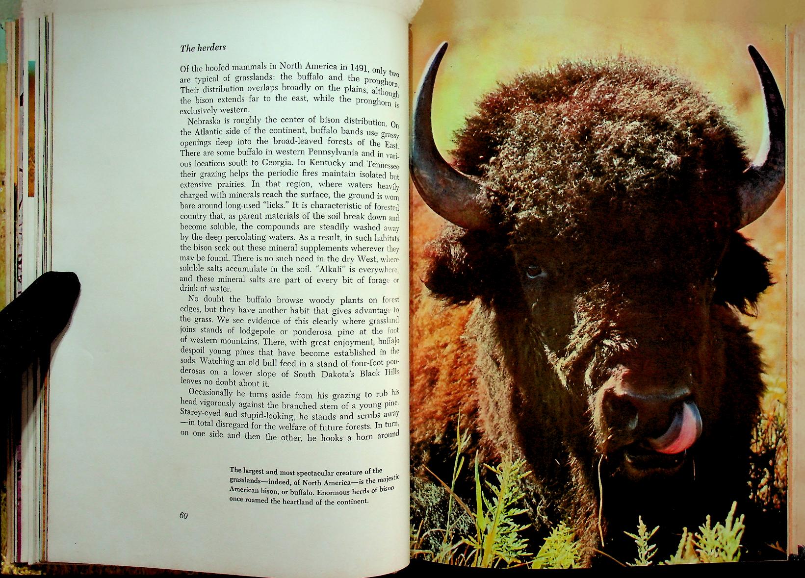 The Life of Prairies and Plains