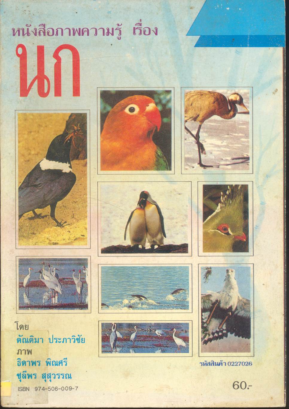 หนังสือภาพความรู้ เรื่อง นก