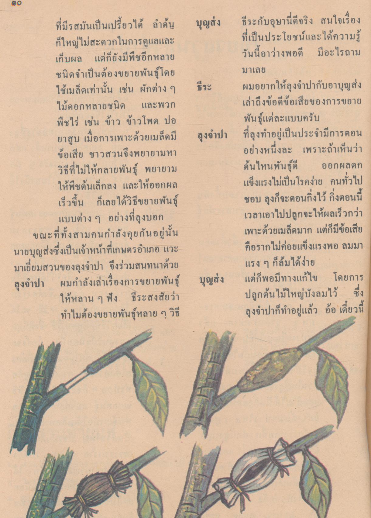 หนังสือเรียนสร้างเสริมประสบการณ์ชีวิต ชั้นประถมศึกษาปีที่ ๖ มนุษย์กับสิ่งแวดล้อม