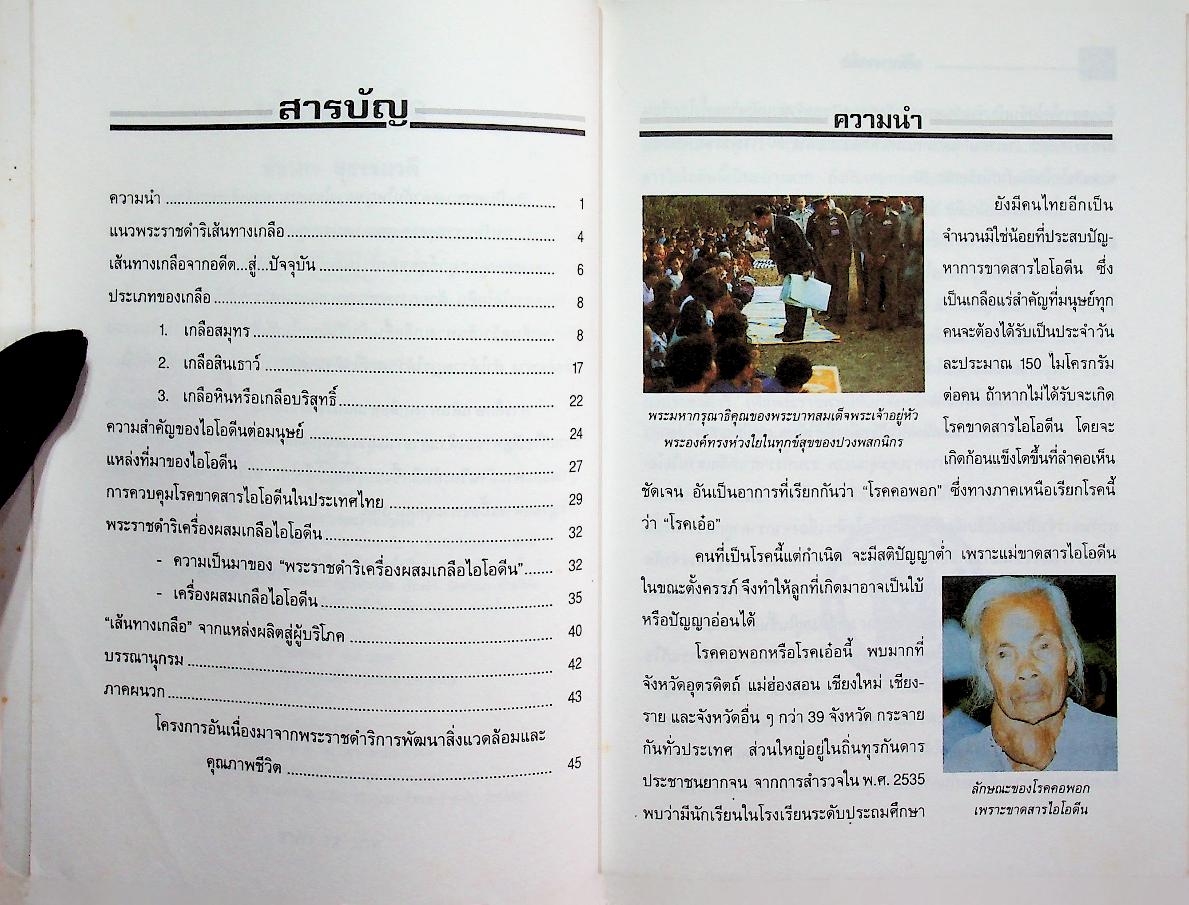 เส้นทางเกลือ