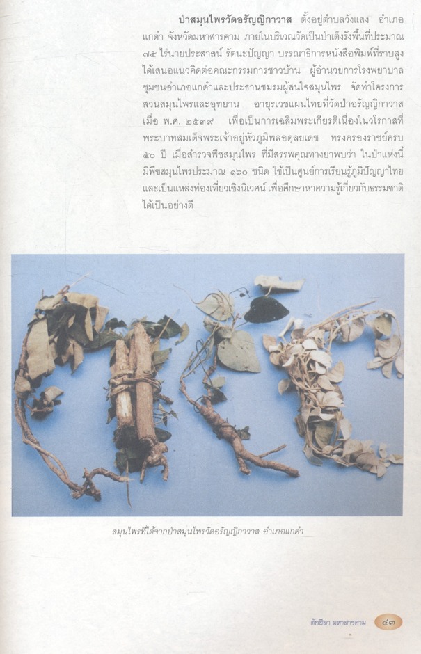 ตักสิลามหาสารคาม สะดืออีสาน