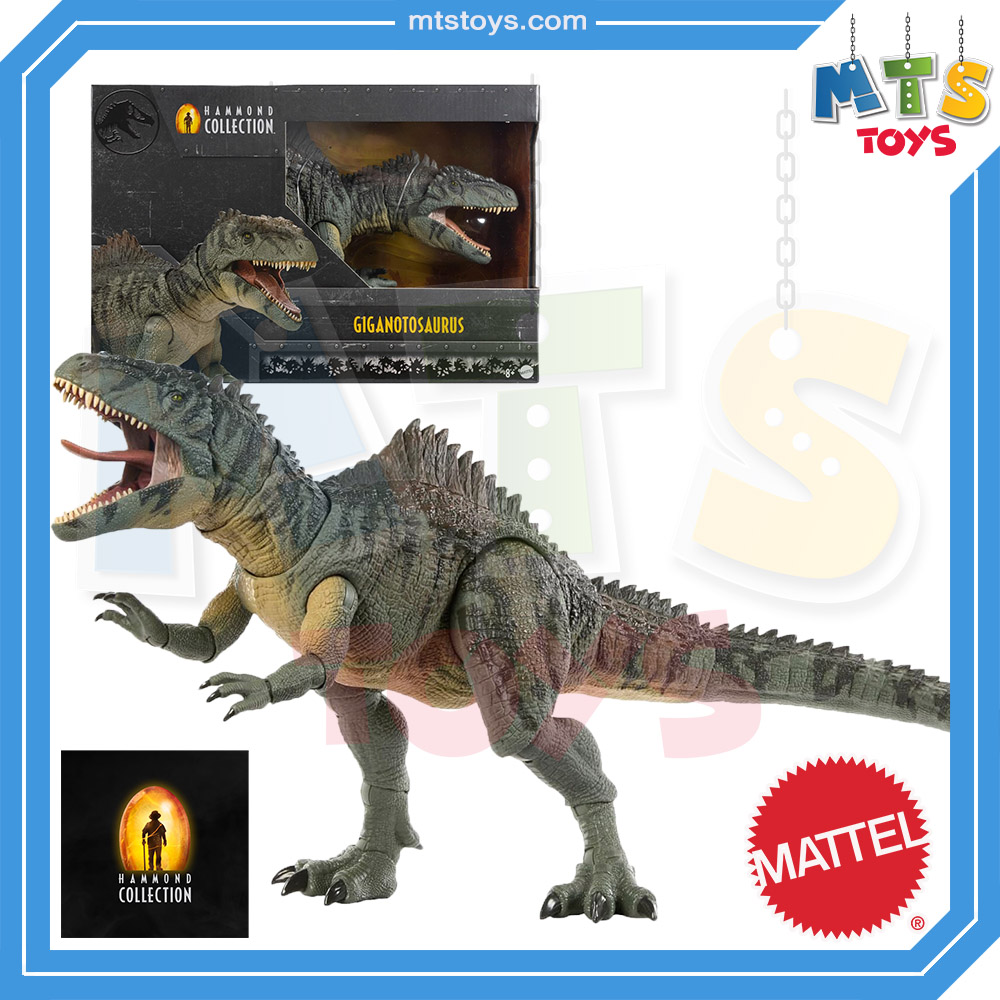 **MTS Toys**Mattel Jurassic World Hammond Collection : HXF57 Giganotosaurus [ความยาวจากหัวถึงหาง 72 ซ.ม.]