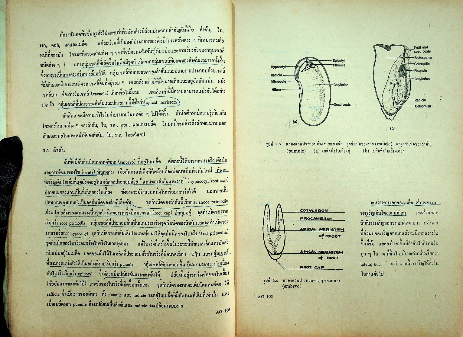 การเกษตรเบื้องต้น