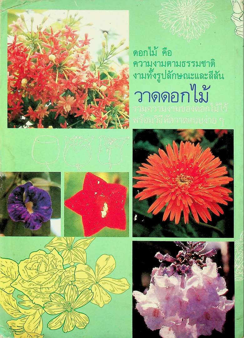 วาดดอกไม้