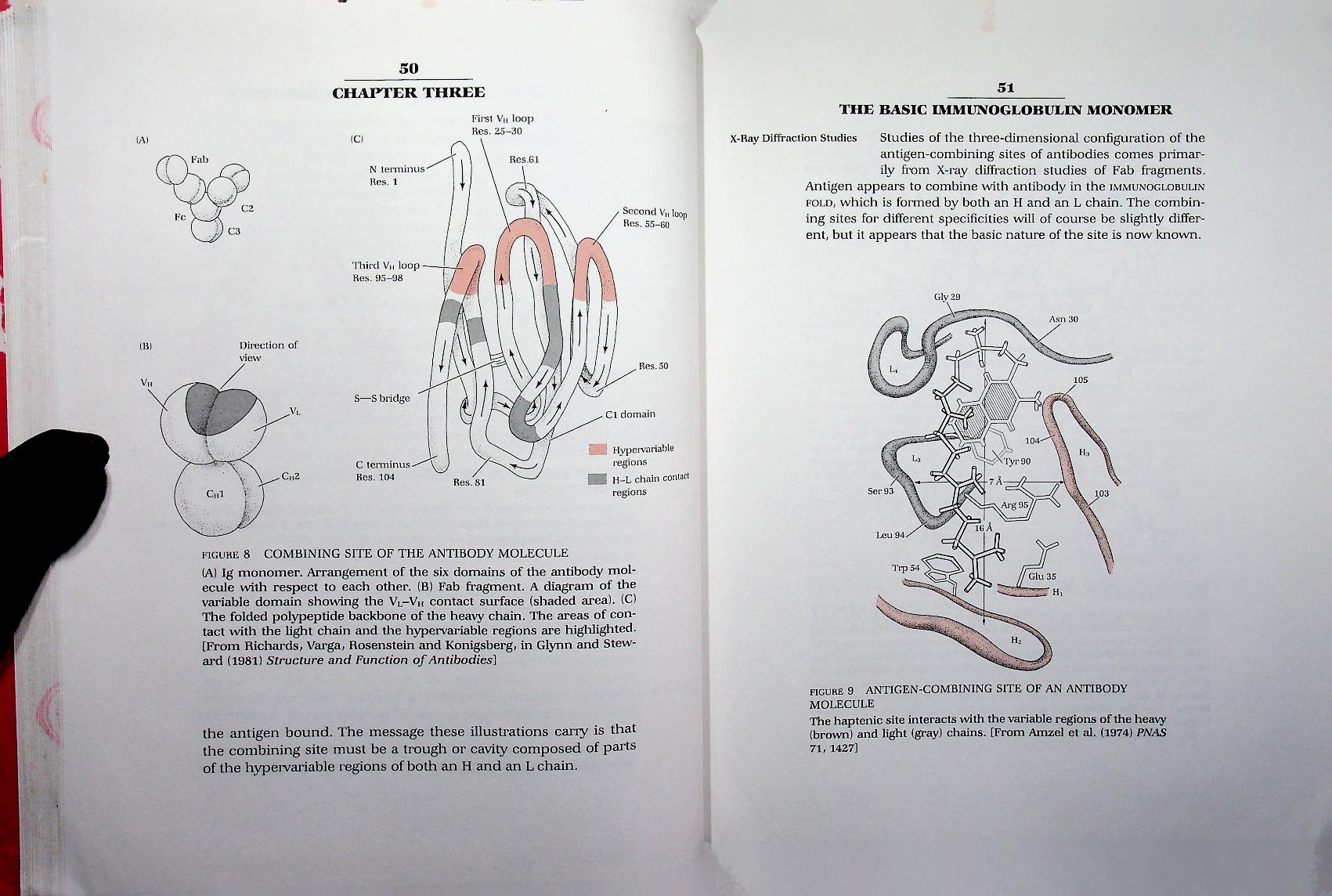 IMMUNOLOGY: A SYNTHESIS