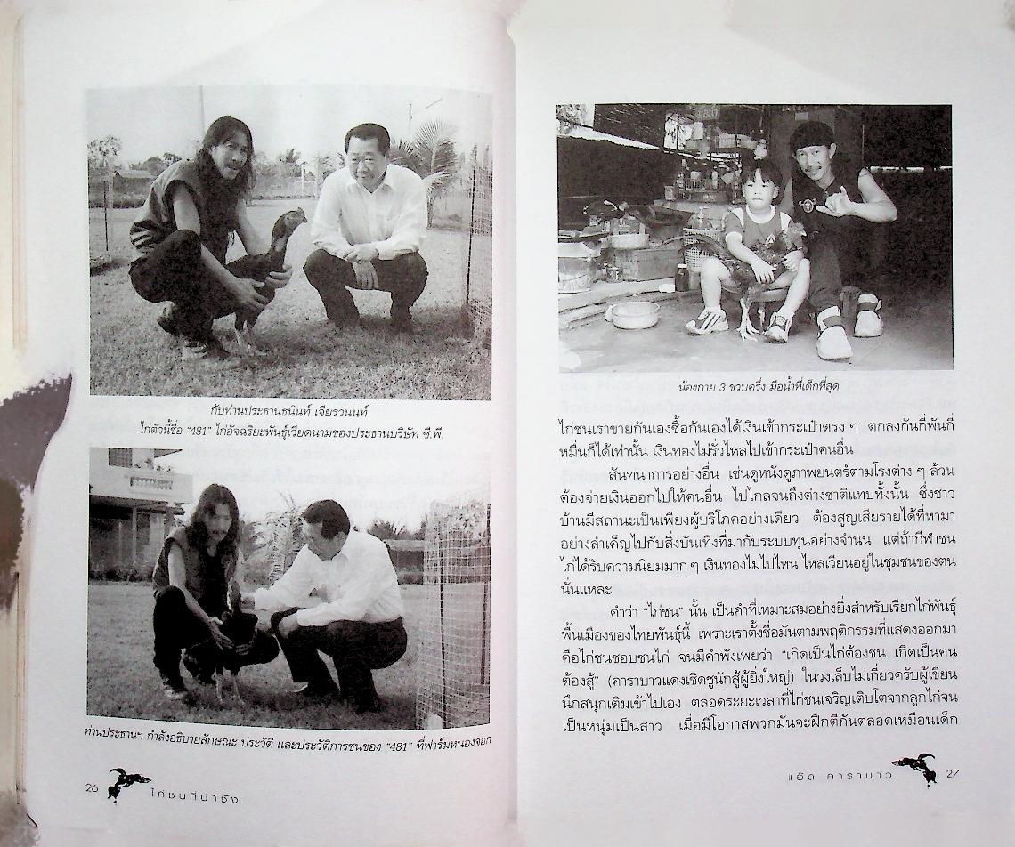 ไก่ชนที่น่าชัง