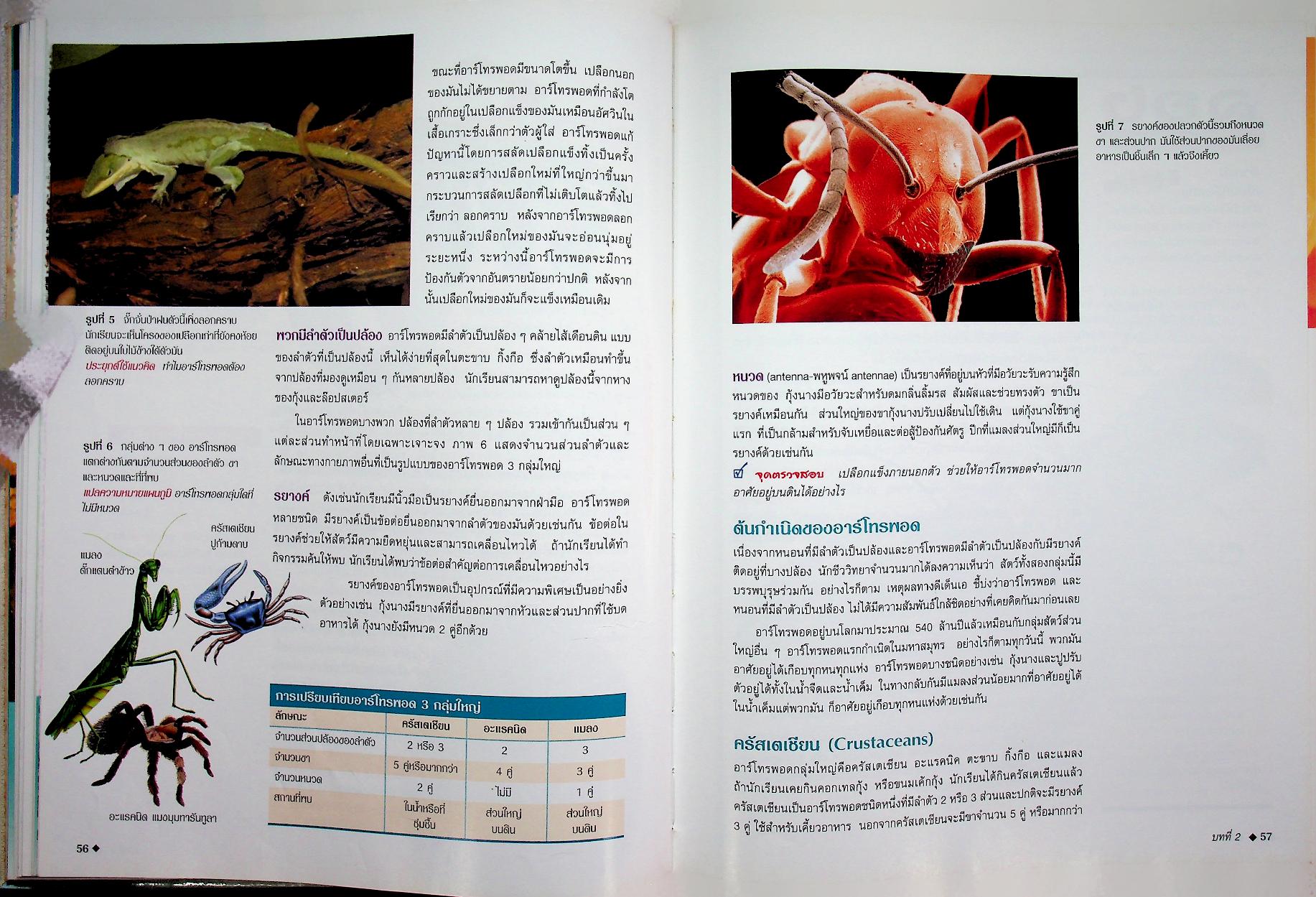 สำรวจโลกวิทยาศาสตร์ ชีวิตสัตว์โลก