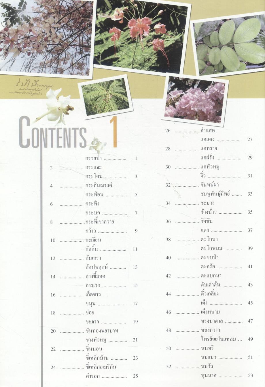 ร่มไม้ไพรพฤกษา คณะวิทยาศาสตร์ มหาวิทยาลัยราชภัฏลำปาง