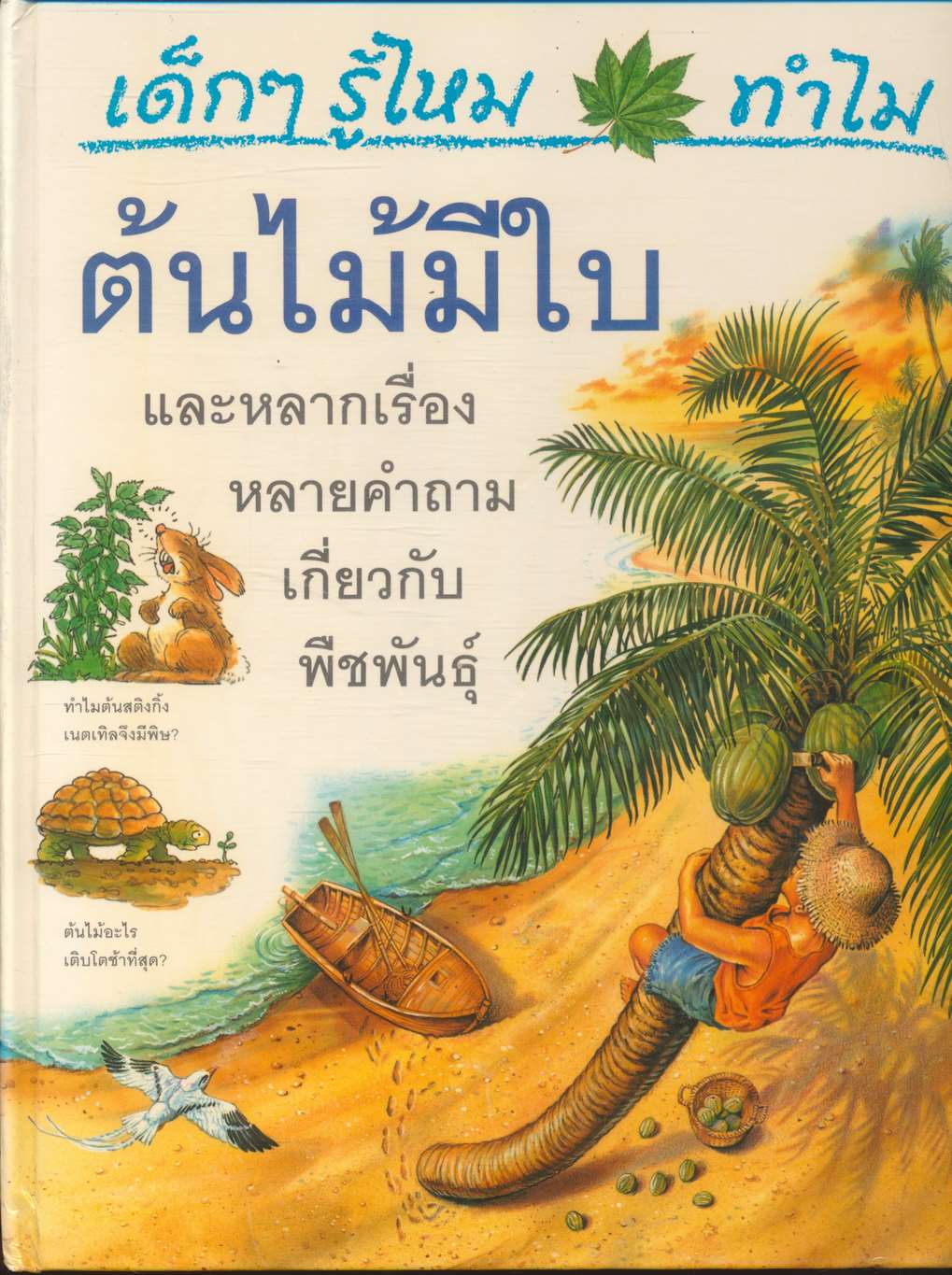เด็กๆรู้ไหม ทำไม ต้นไม้มีใบ