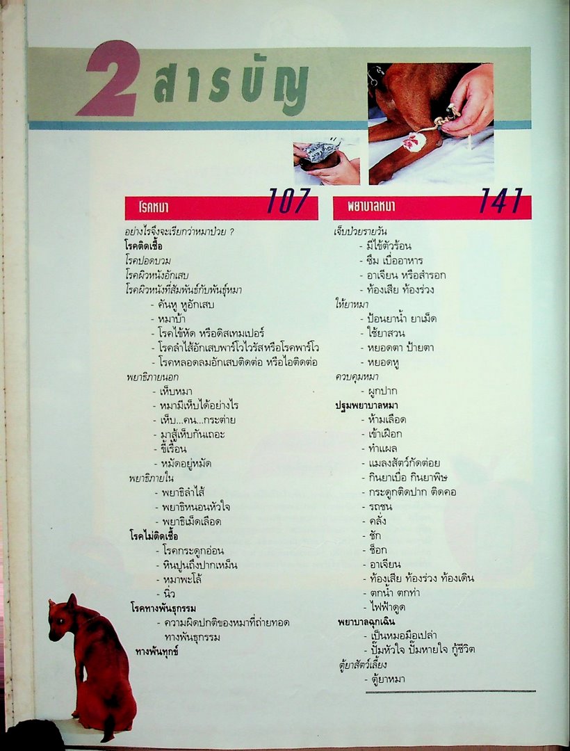 คู่มือคนรักหมา