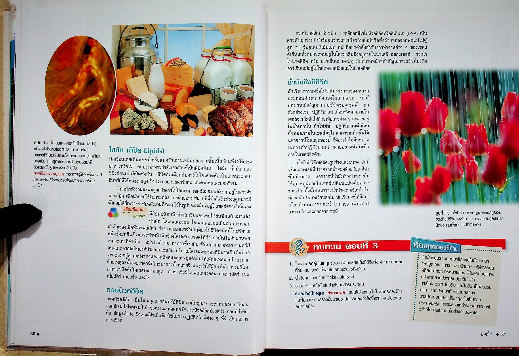 สำรวจโลกวิทยาศาสตร์ เซลล์และพันธุกรรม