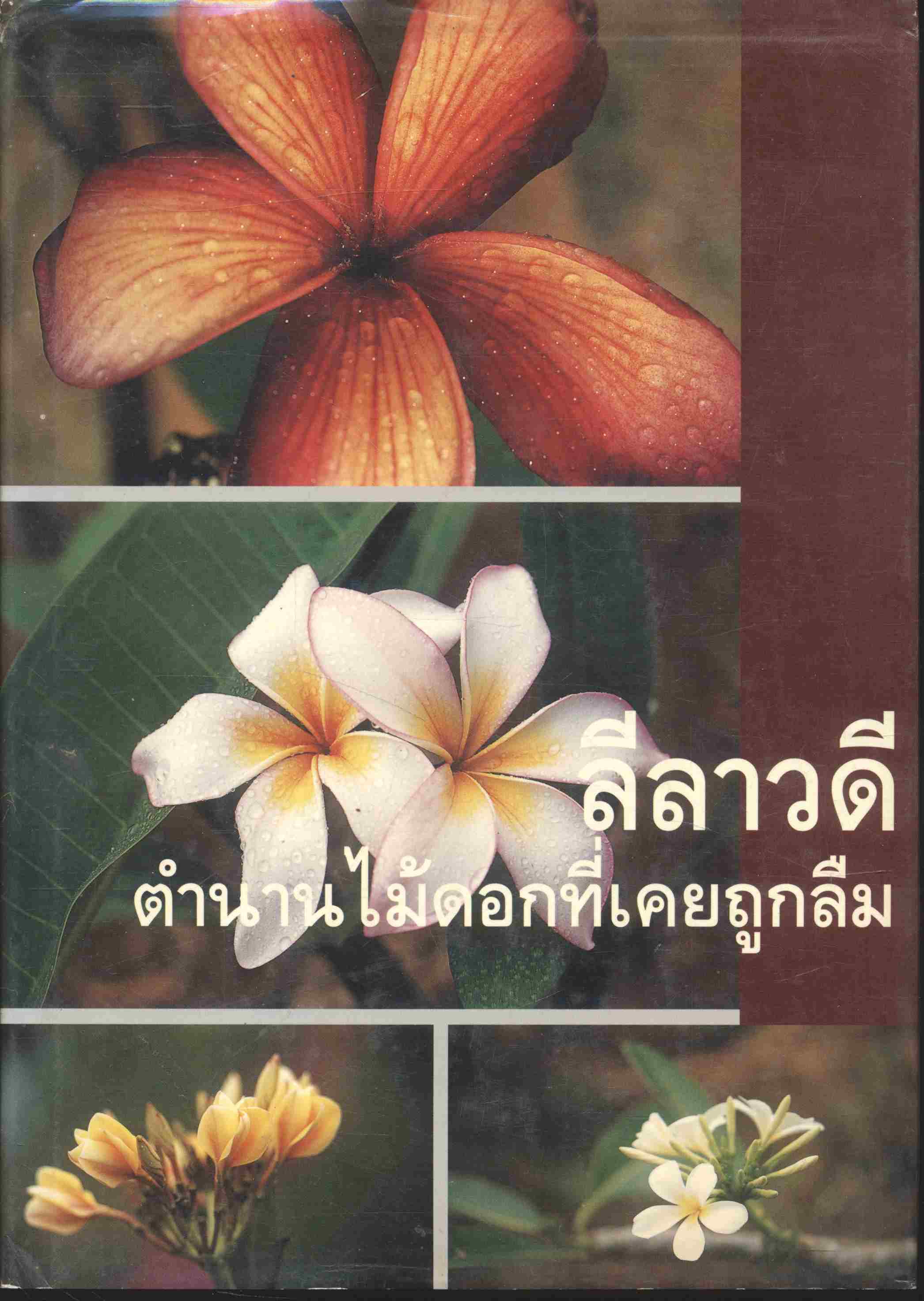 ลีลาวดี ตำนานไม้ดอกที่เคยถูกลืม