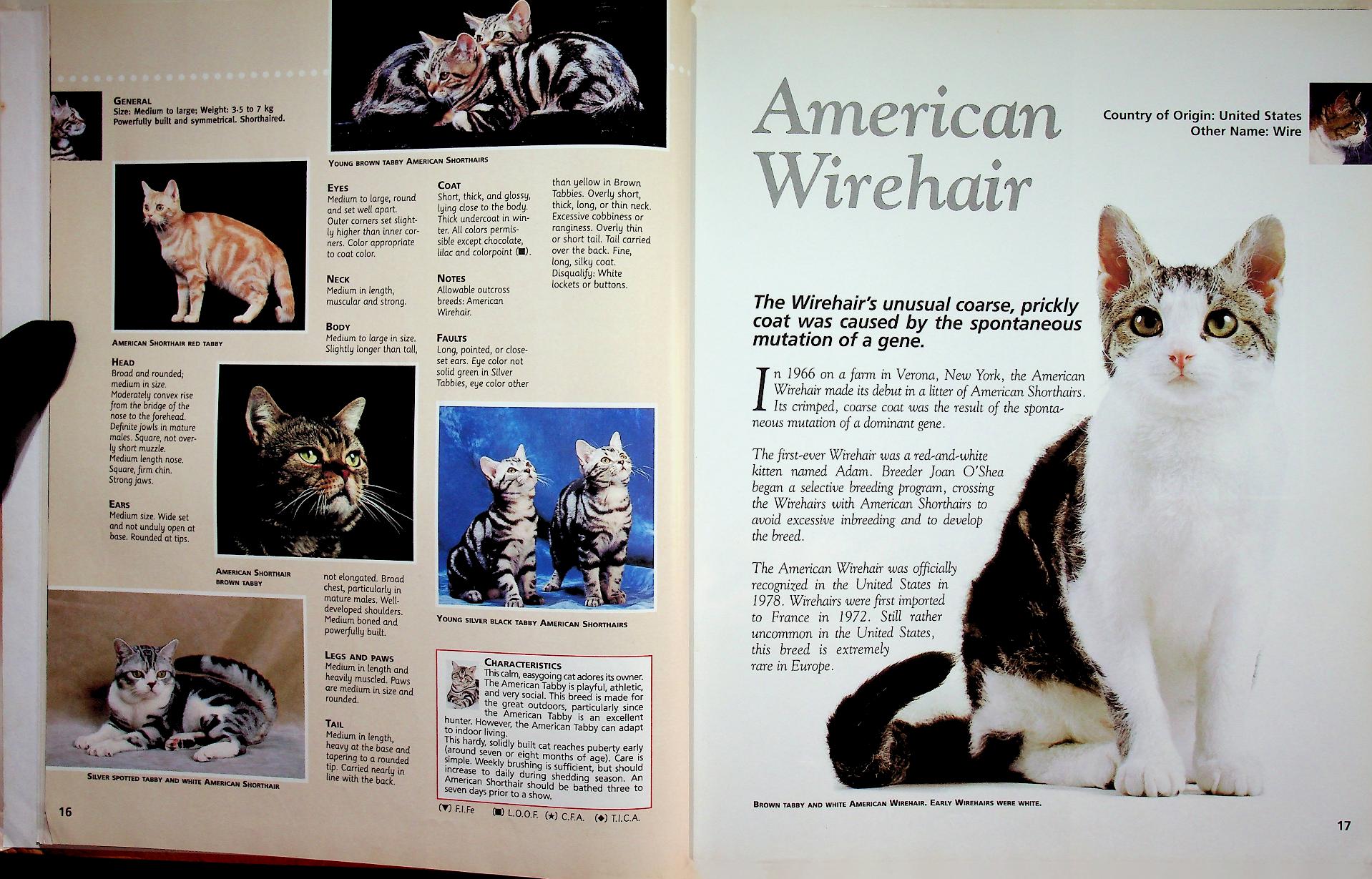 The Cat ENCYCLOPEDIA Volume 2