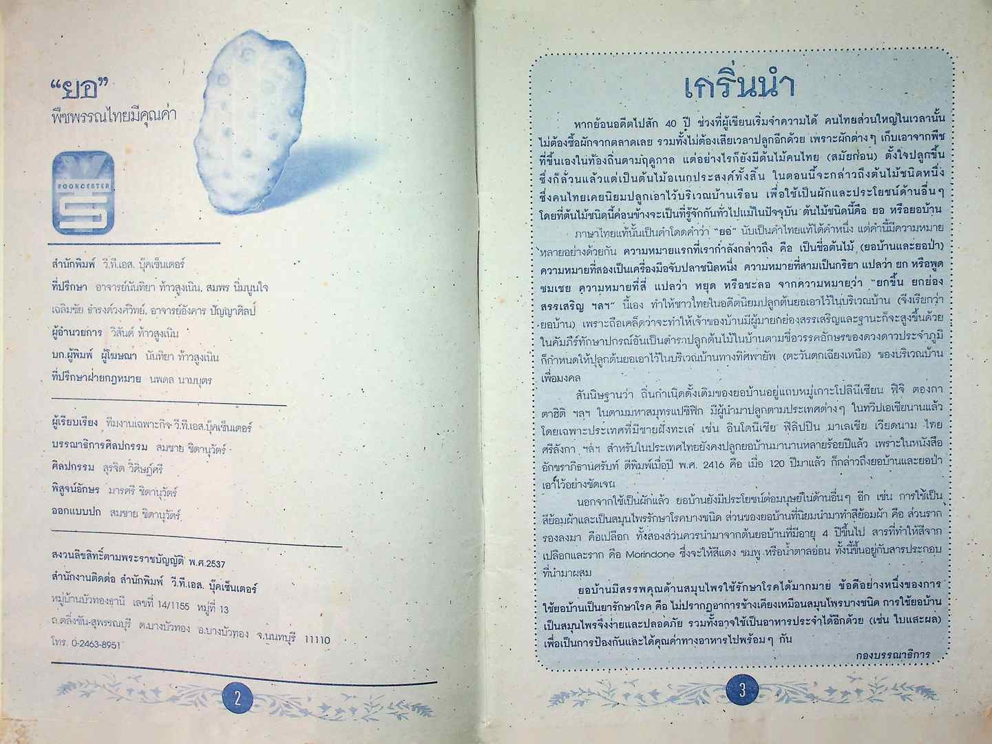 ยอ พืชพรรณไทย มีคุณค่า เป็นทั้งอาหารและยา