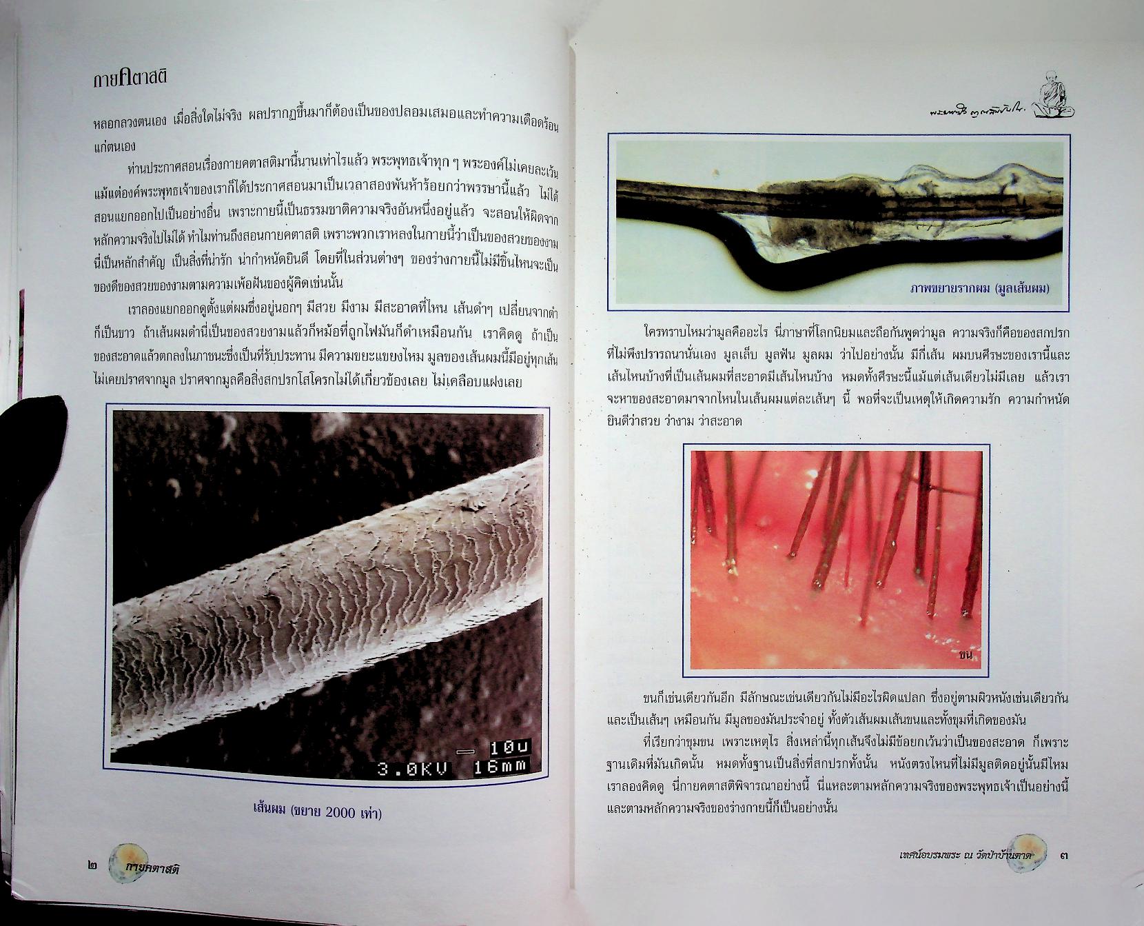 กายคตาสติ พระพุทธเจ้าทุกพระองค์ทรงสอน...กายคตาสติ