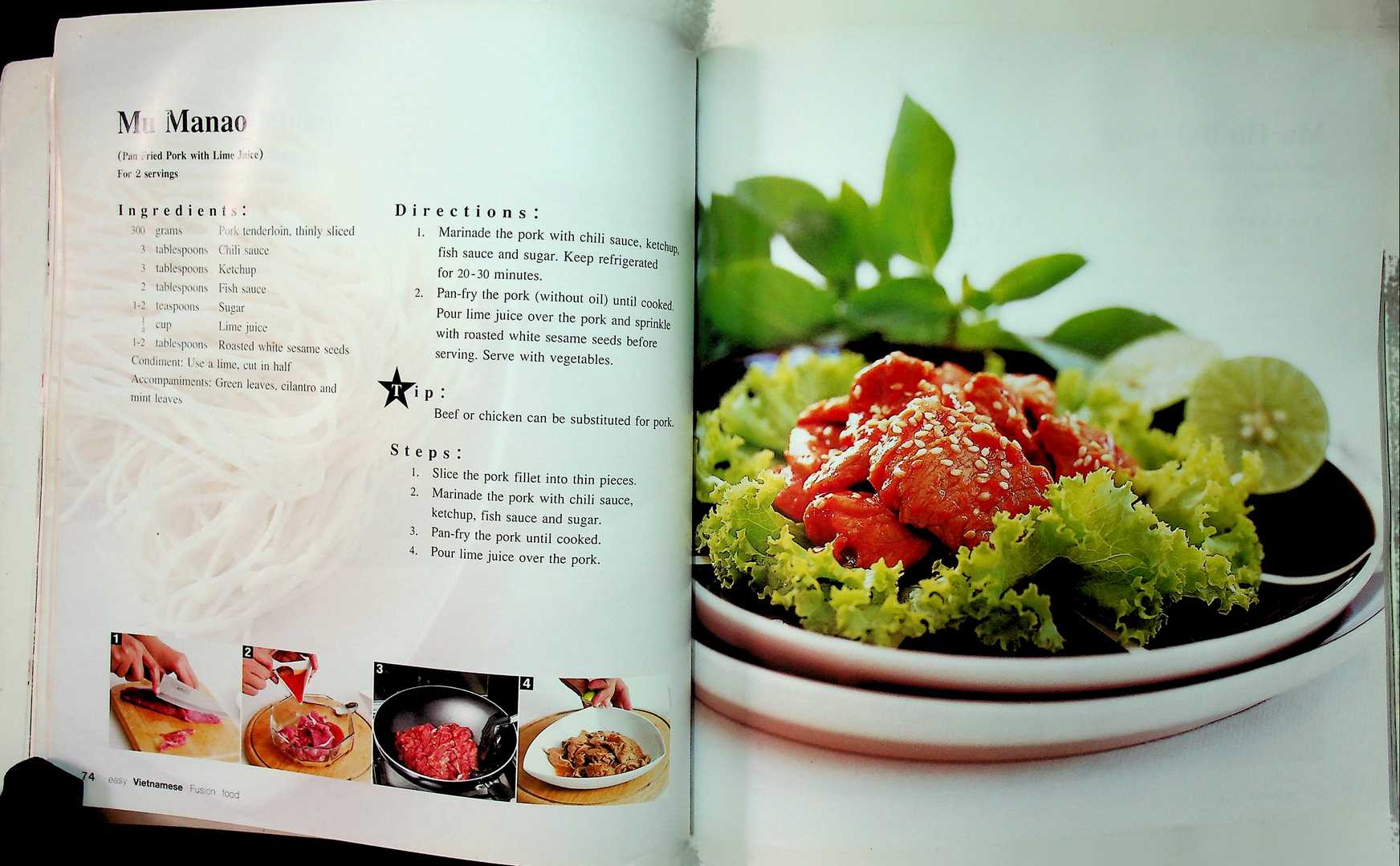 easy Vietnamese Fusion Food