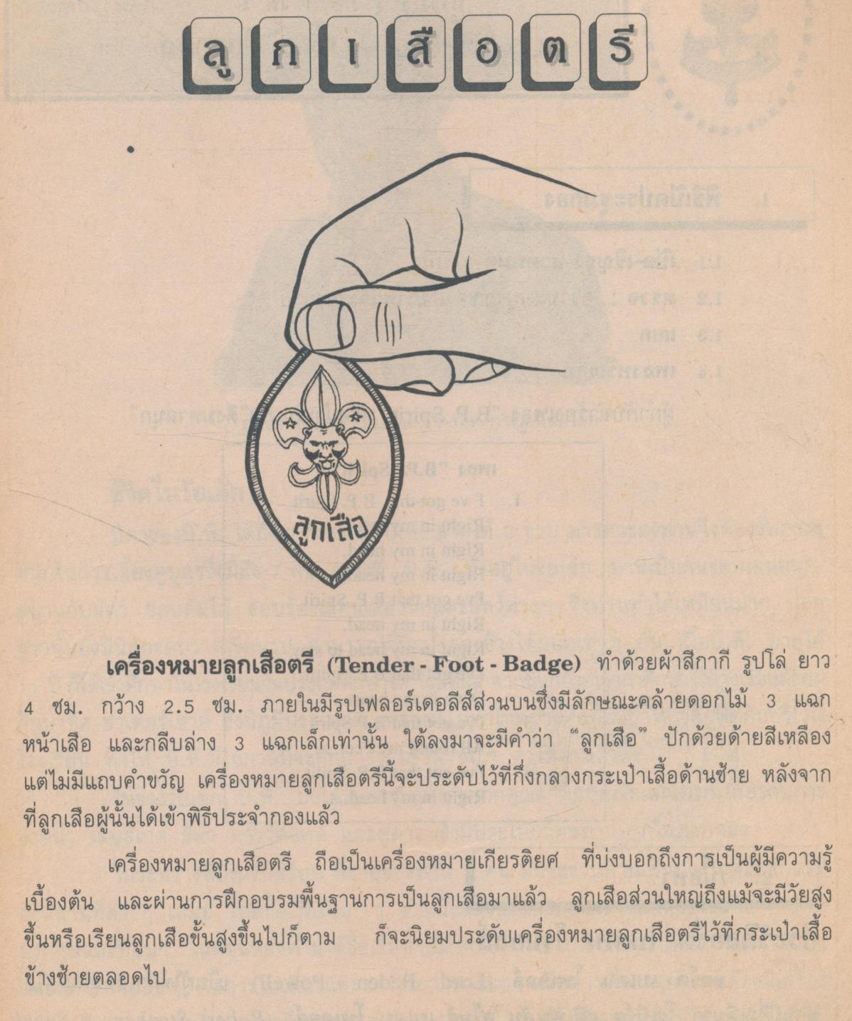 กิจกรรมลูกเสือ-เนตรนารีสามัญ : ตรี-โท ป.5