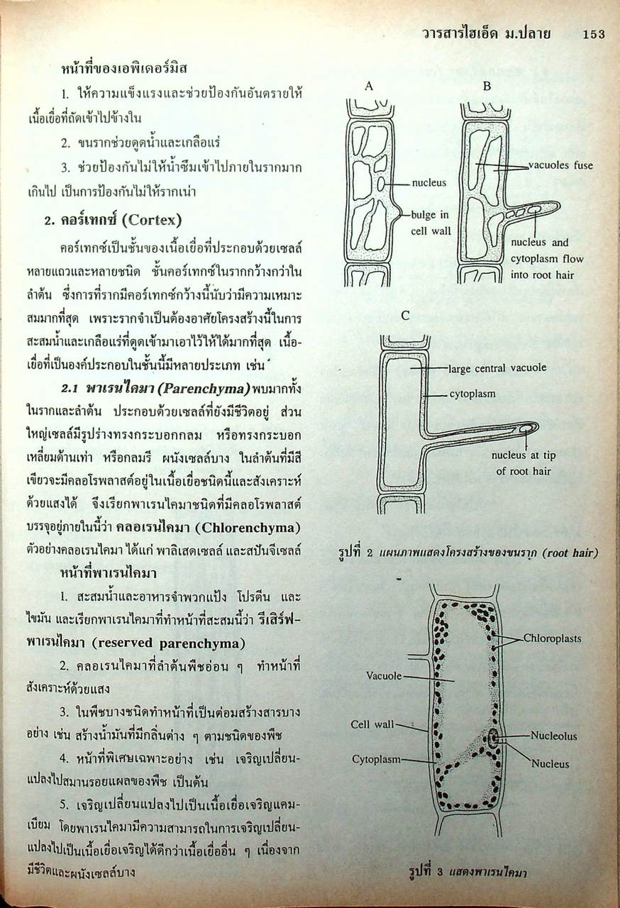 วารสารไฮเอ็ด ม.ปลาย (วิทย์) เล่มที่ 2 ฉบับรวมเล่ม ปีที่ 2 ฉบับที่ 5-7 (ก.ย.-พ.ย.) 2540