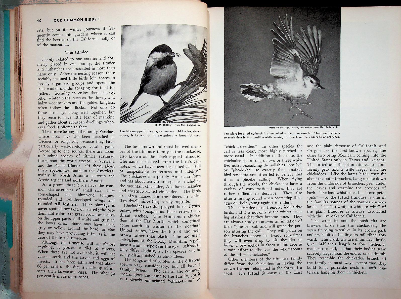 THE BOOK OF POPULAR SCIENCE VOLUME 6