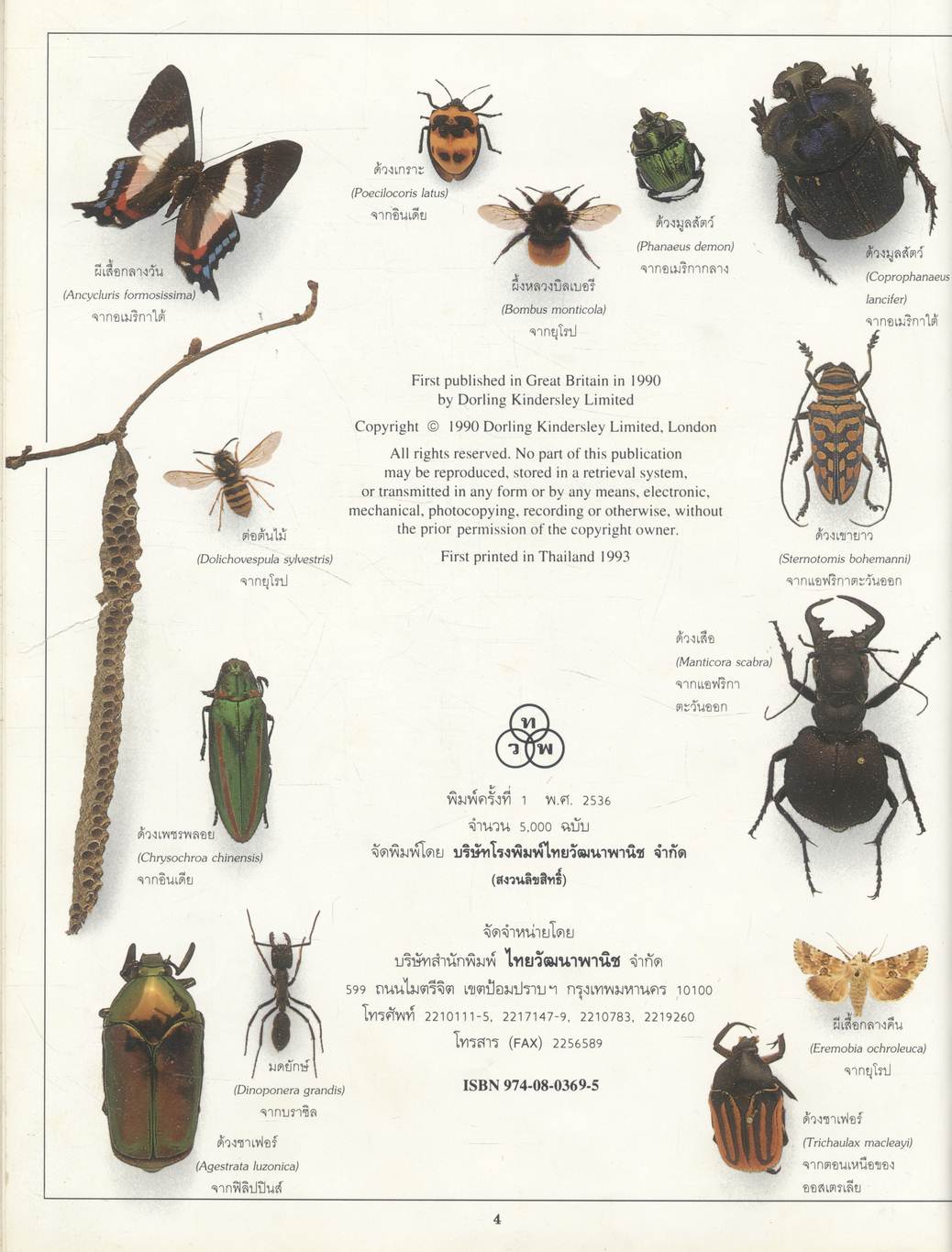 สารานุกรมชุดประทีปความรู้ แมลง