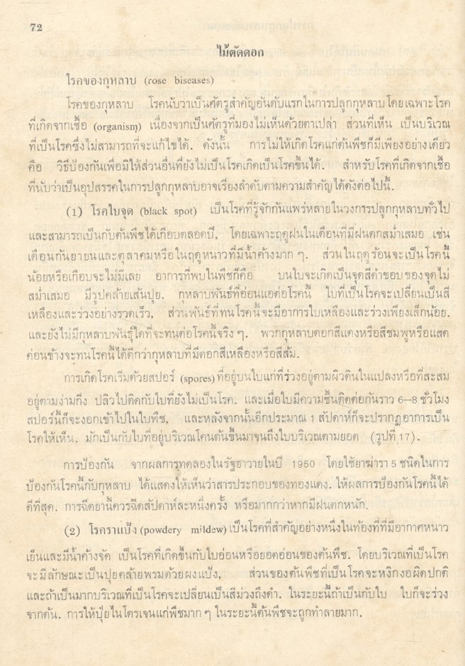 ไม้ตัดดอก