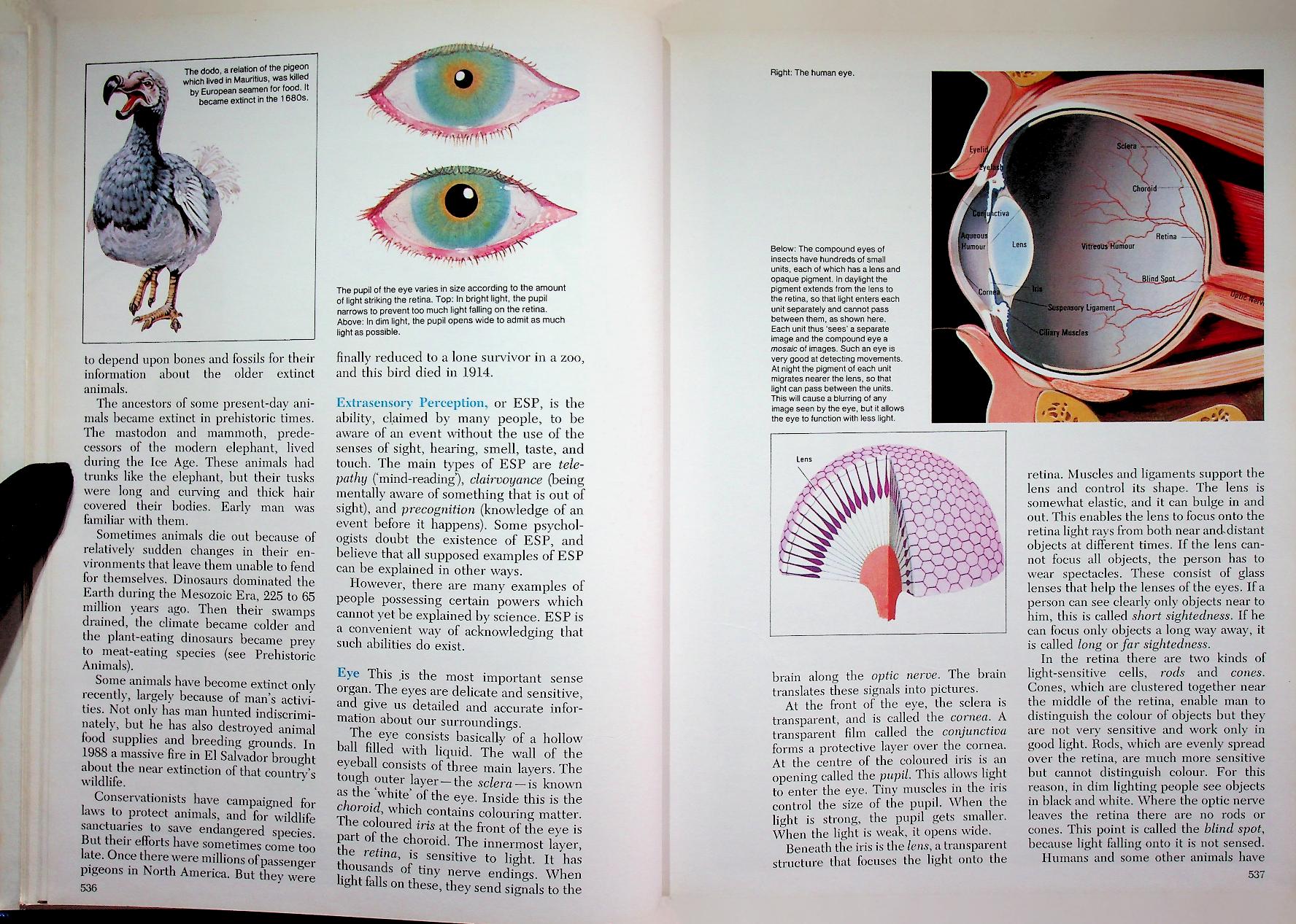 The 21st Century JUNIOR WORLD Encyclopedia 4