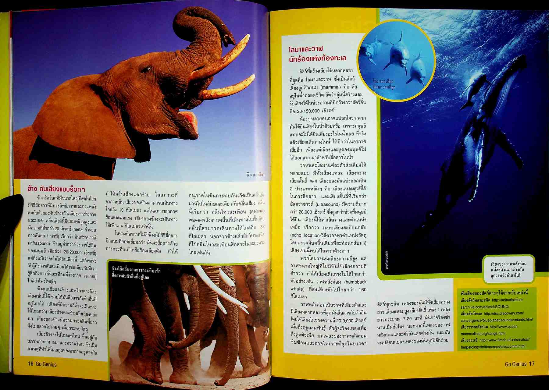 ส่งเสริมการเรียนรู้วิทยาศาสตร์ Go Genius ปีที่ 1 ฉบับที่ 9 มกราคม 2549