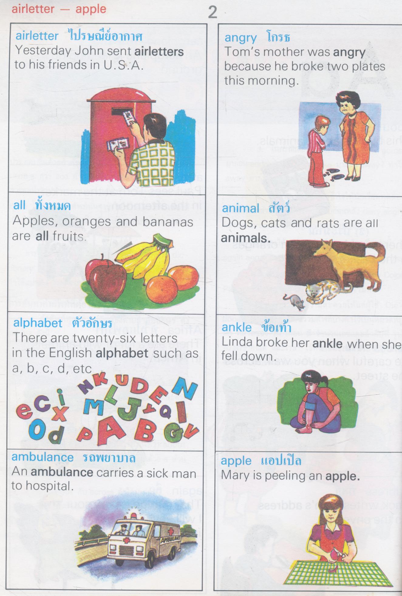 THE COLOR PICTURE DICTIONARY