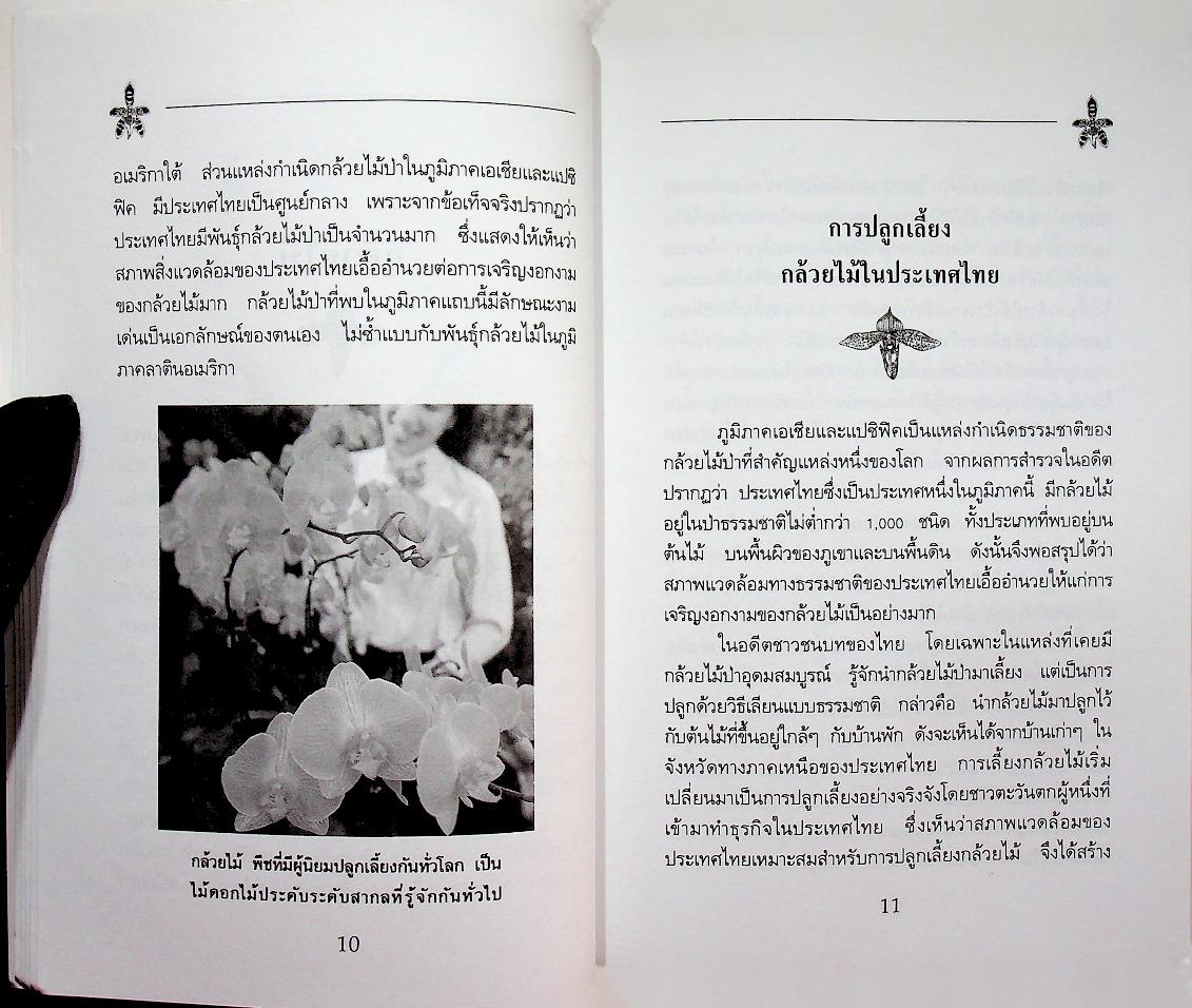 คู่มือการปลูก กล้วยไม้