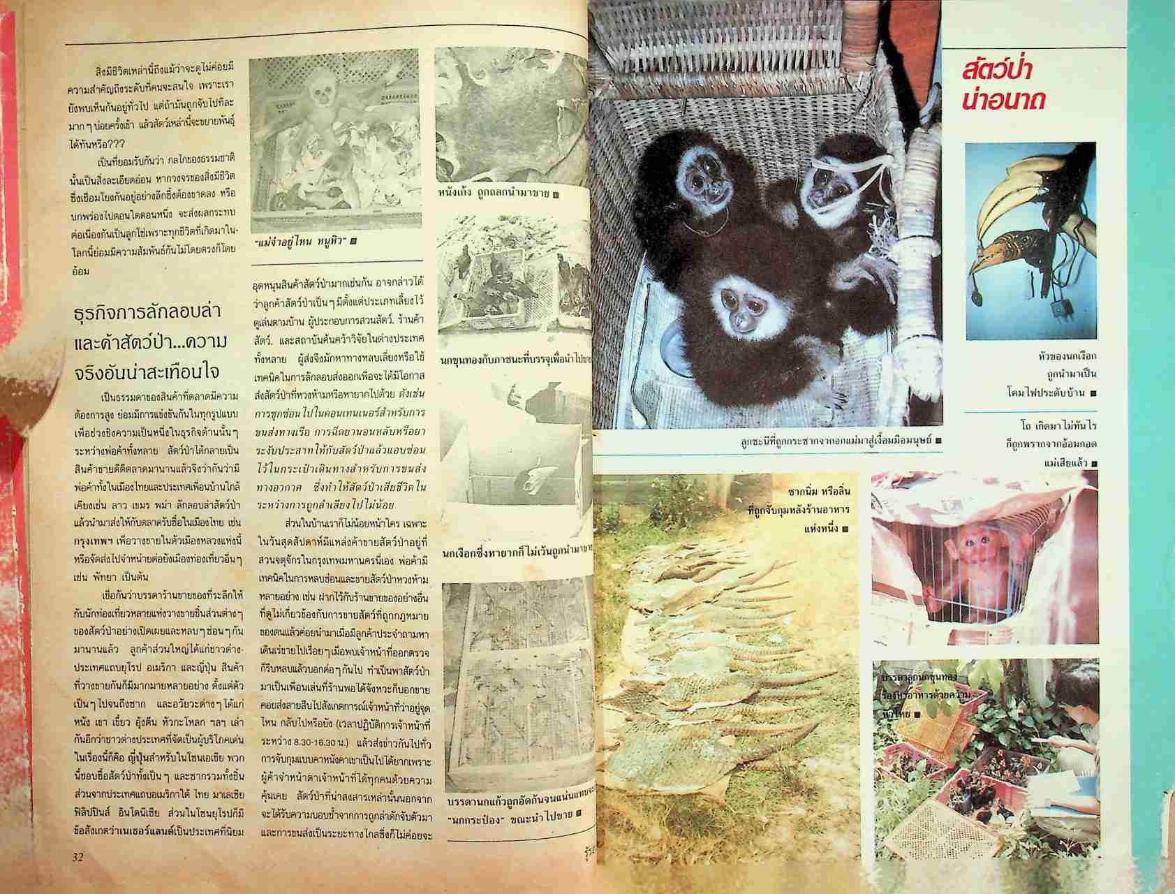 รู้รอบตัว ฉบับที่ 26 : กุมภาพันธ์ 2531