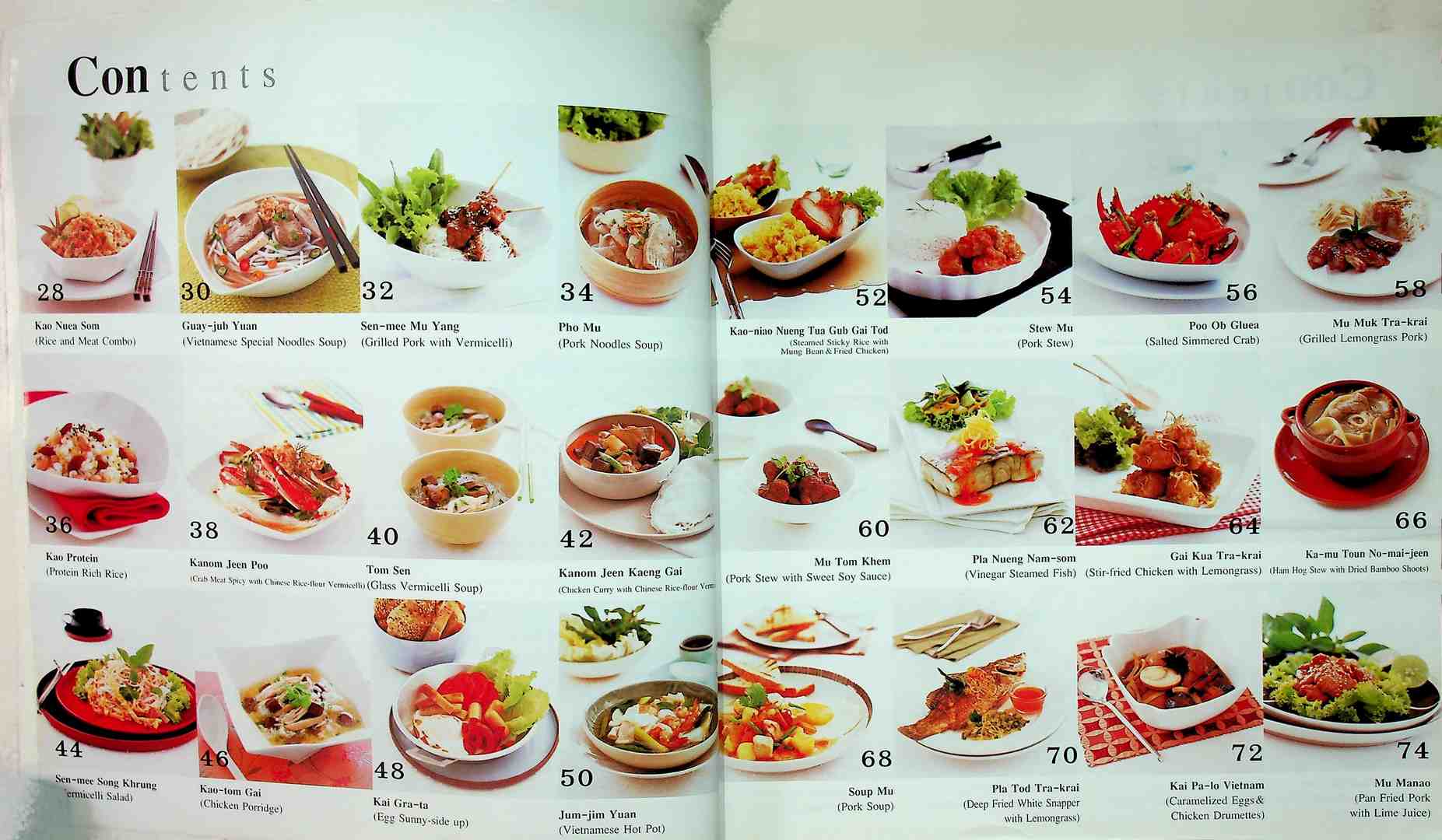 easy Vietnamese Fusion Food