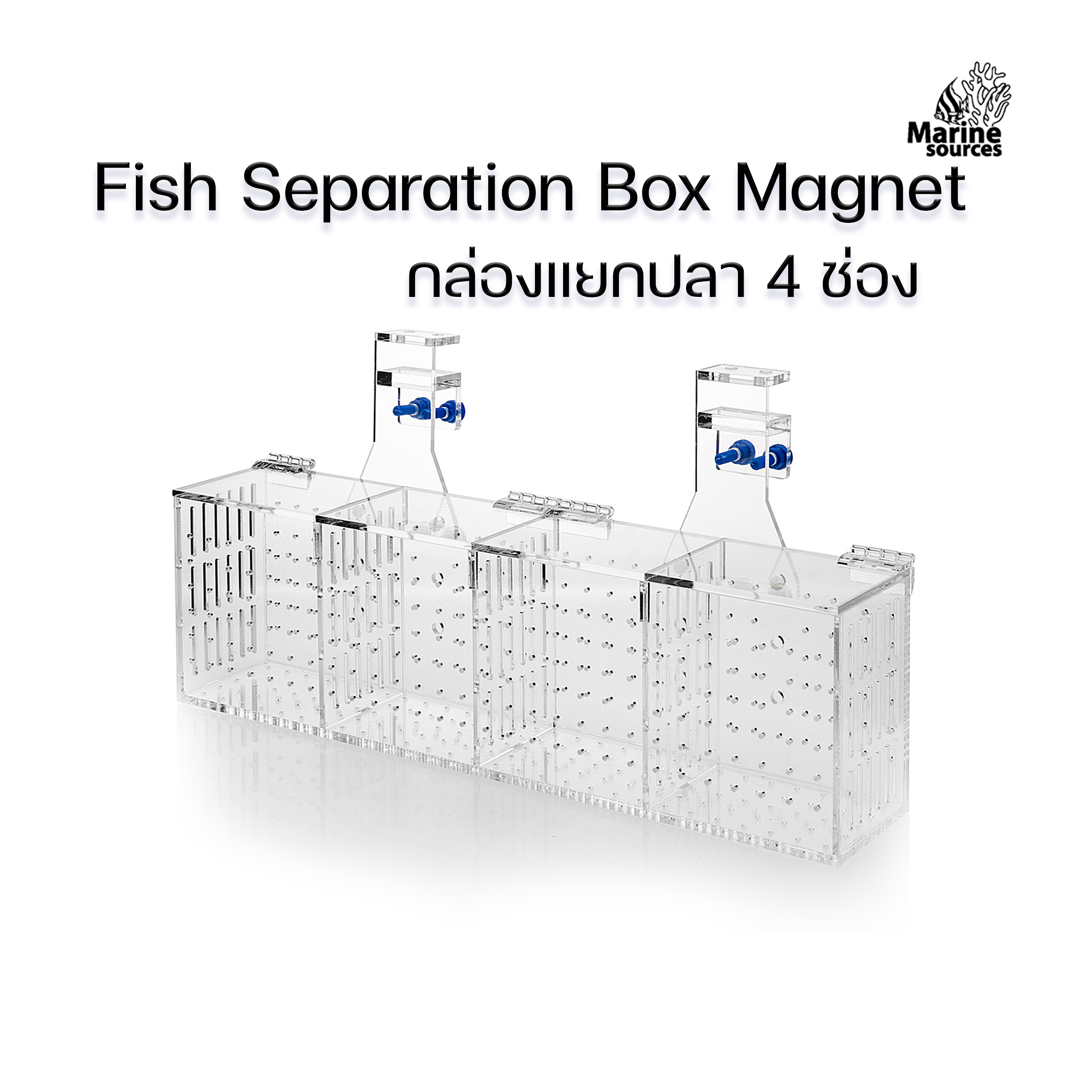 Marine Source กล่องแยกปลา 4 ช่อง Fish Separation Box กล่องพักปลา กล่องอนุบาลปลา ปลาป่วย ปลาท้อง FSB-4A