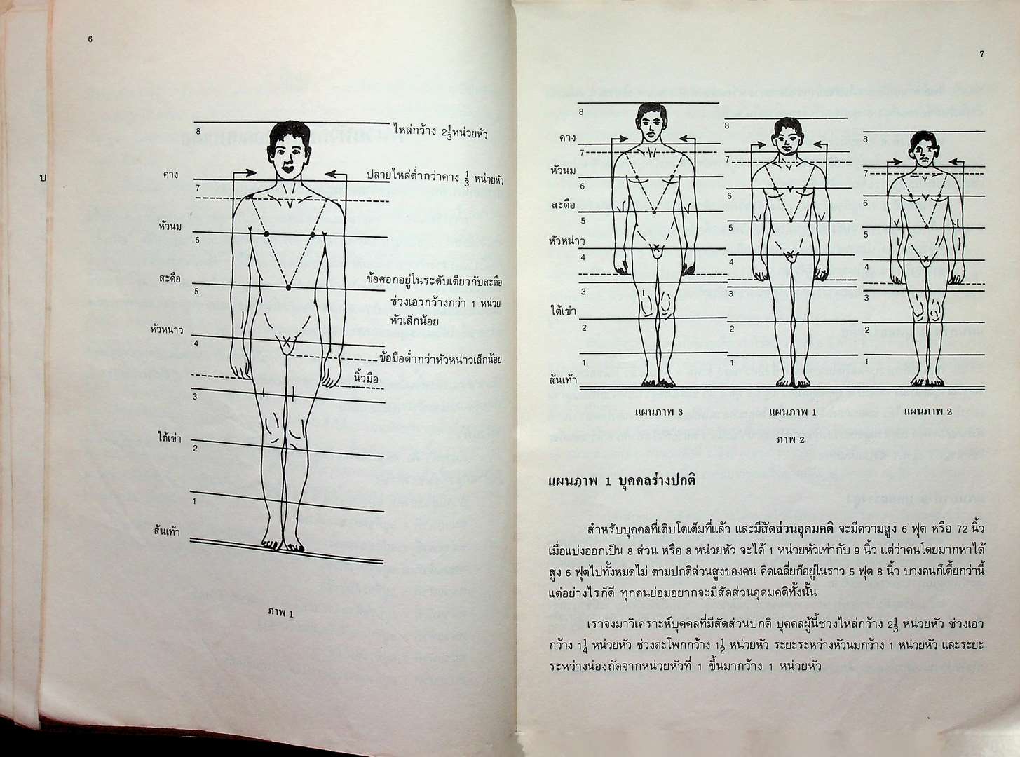 การออกแบบเสื้อ ตามลักษณะทางกายวิภาค